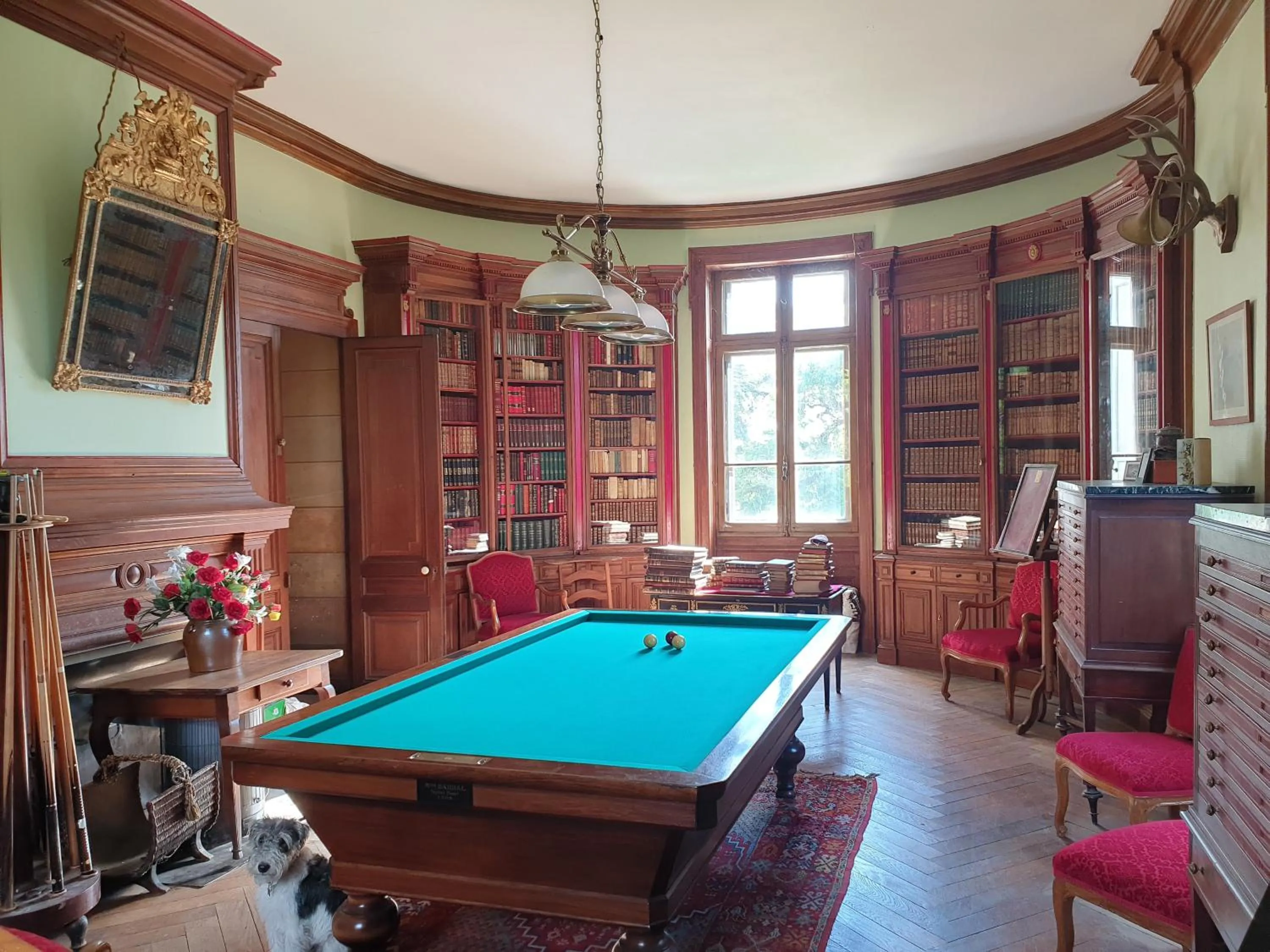 Billiard in Château de Saint Bonnet les Oules