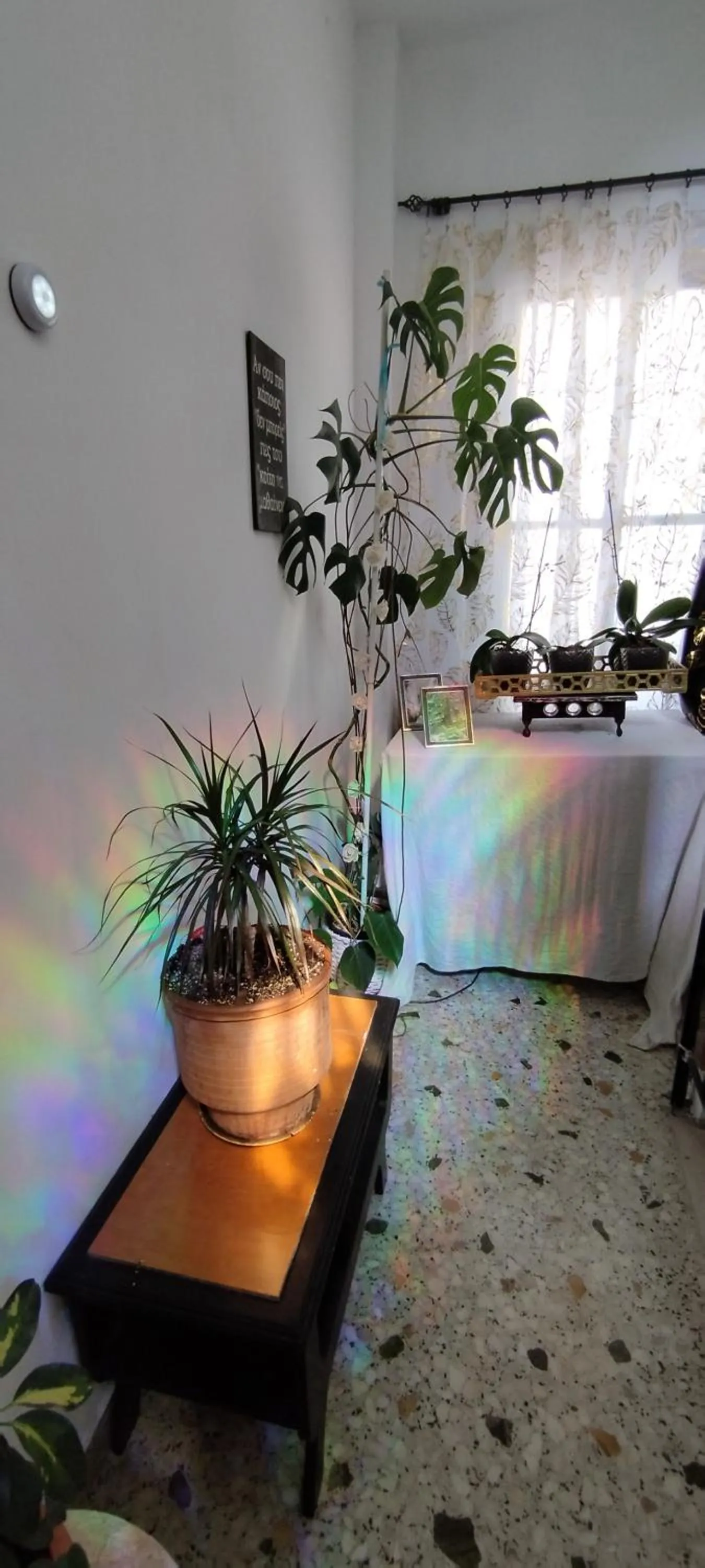 Cozy room in quiet neighbourhood