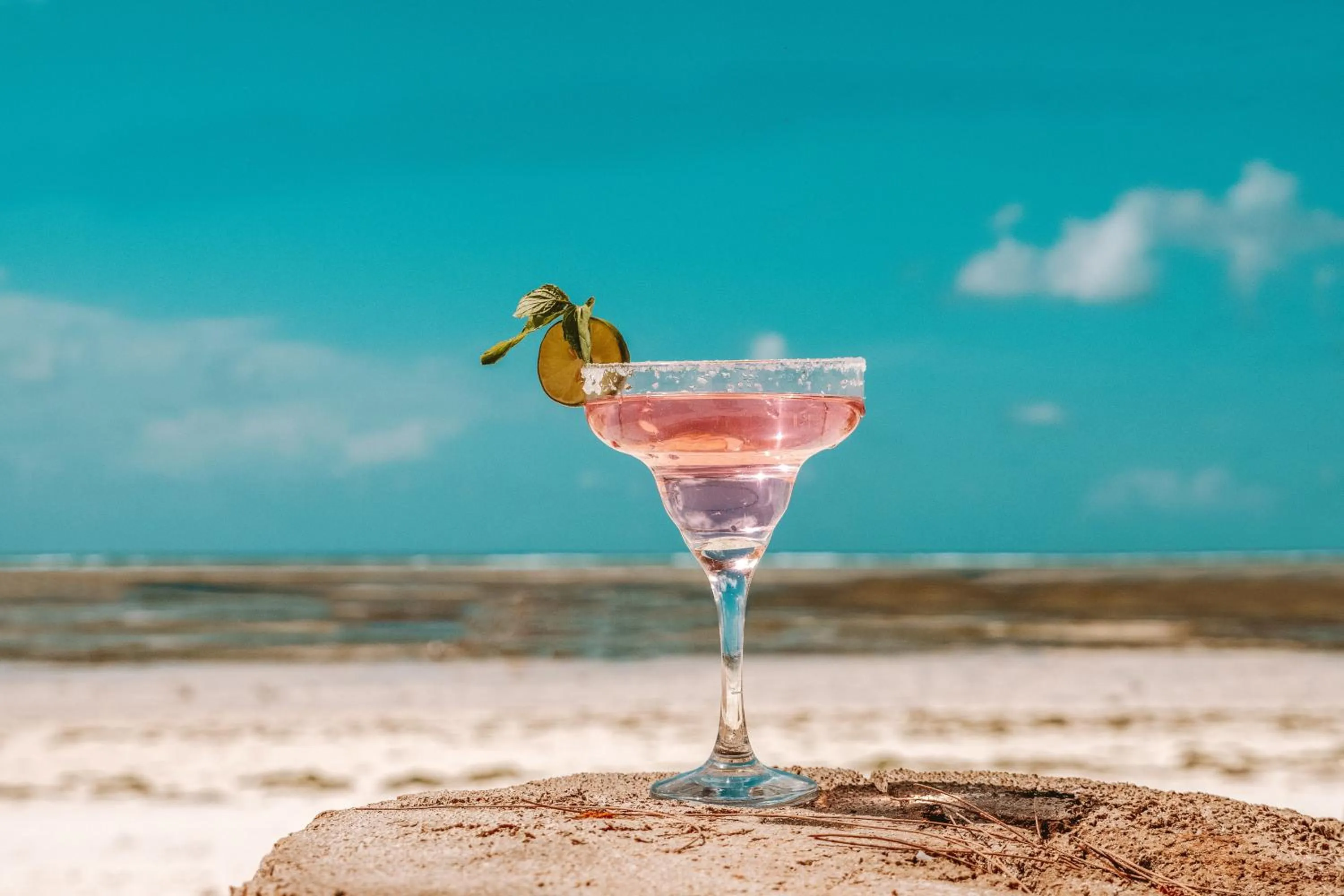 Lounge or bar in Zanzibar Gem Beach Bungalows