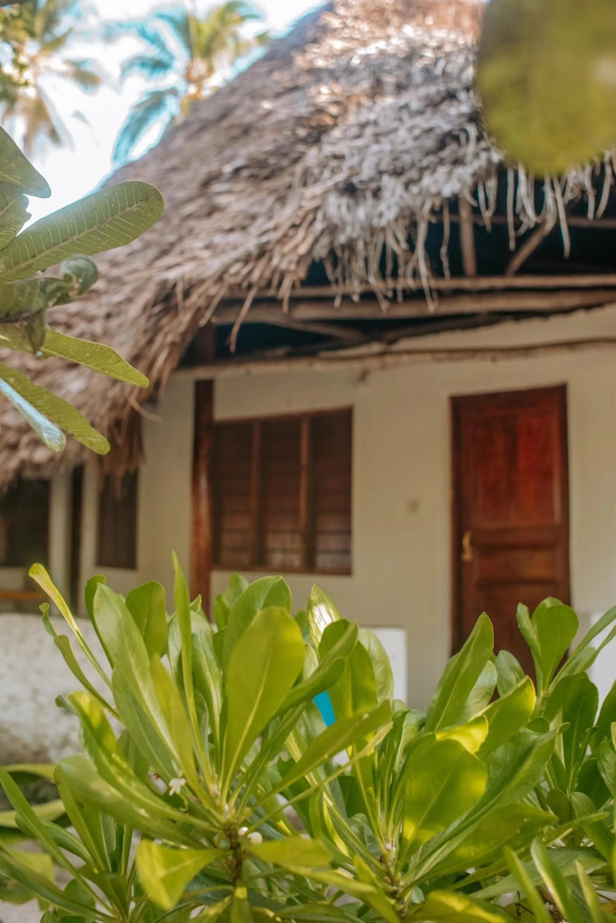 Property building in Zanzibar Gem Beach Bungalows