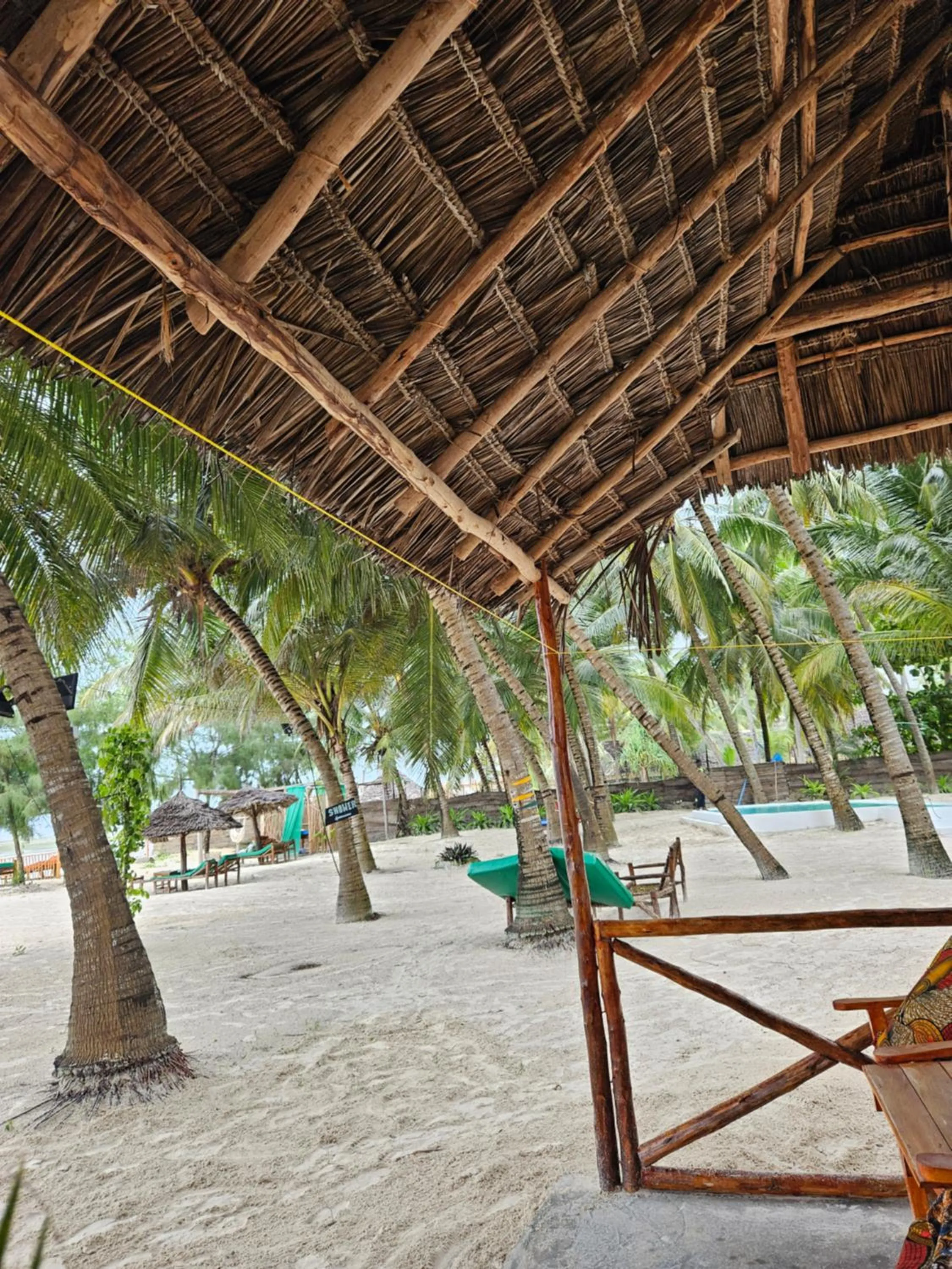 Natural landscape in Zanzibar Gem Beach Bungalows