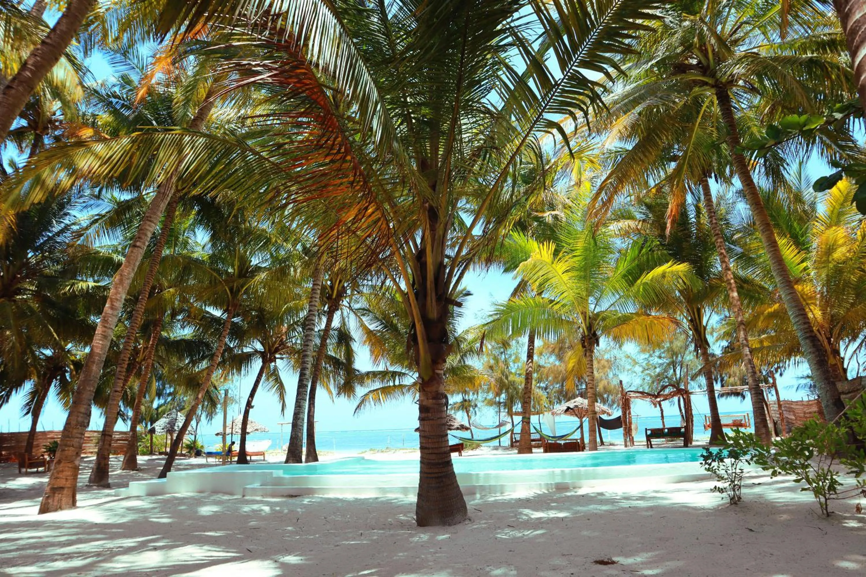 Garden in Zanzibar Gem Beach Bungalows