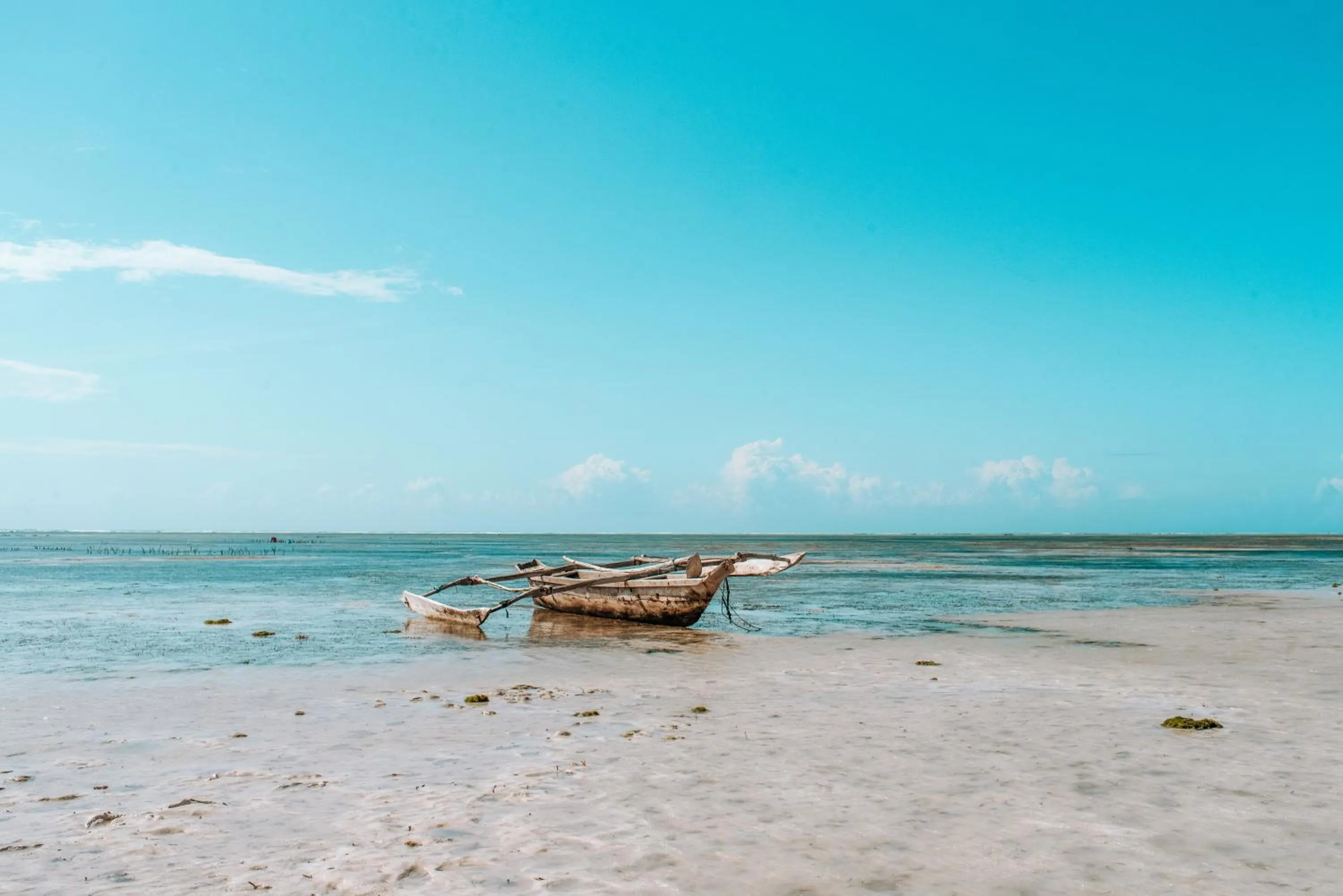 Beach in Zanzibar Gem Beach Bungalows
