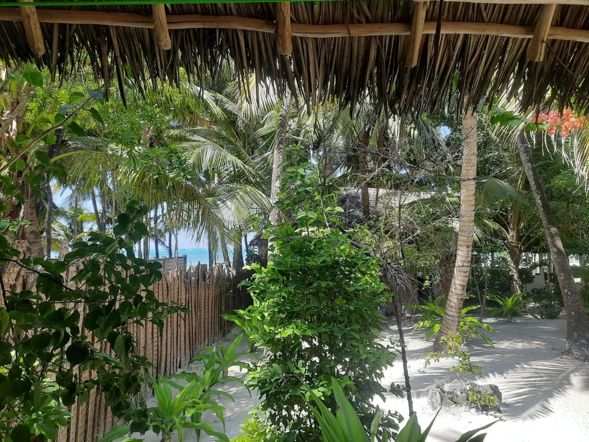 Patio in Zanzibar Gem Beach Bungalows