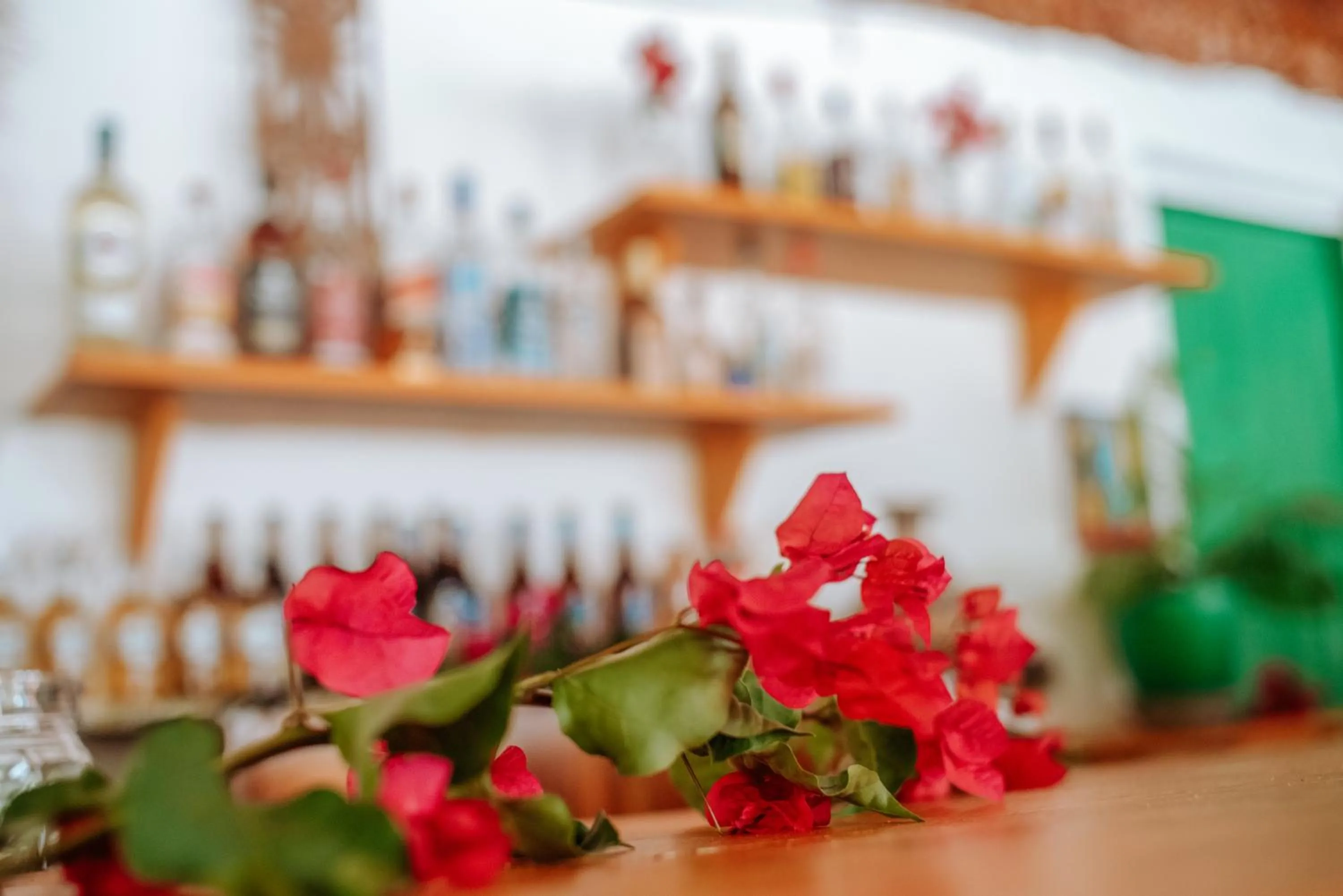 Lounge or bar in Zanzibar Gem Beach Bungalows