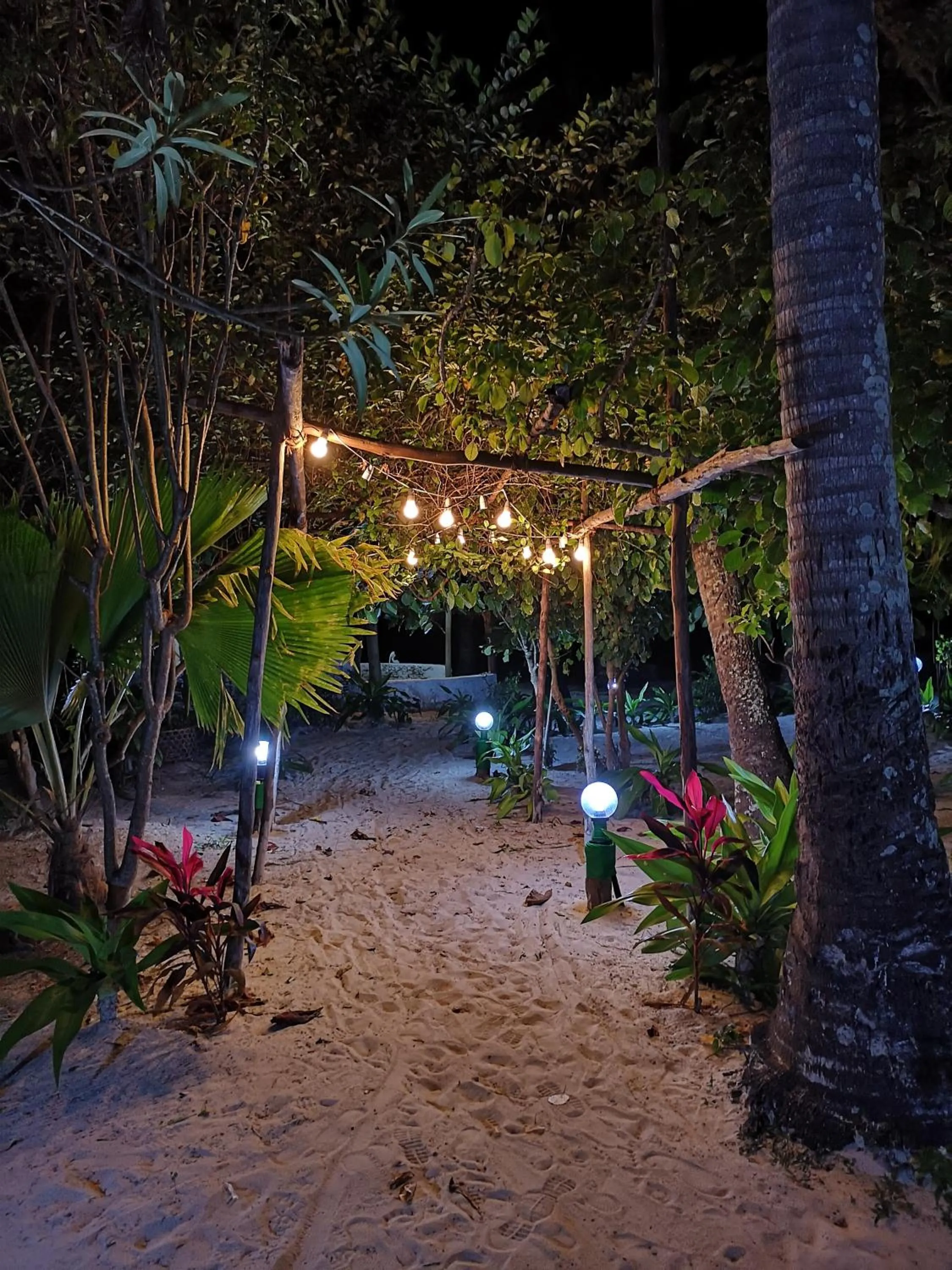 Garden in Zanzibar Gem Beach Bungalows