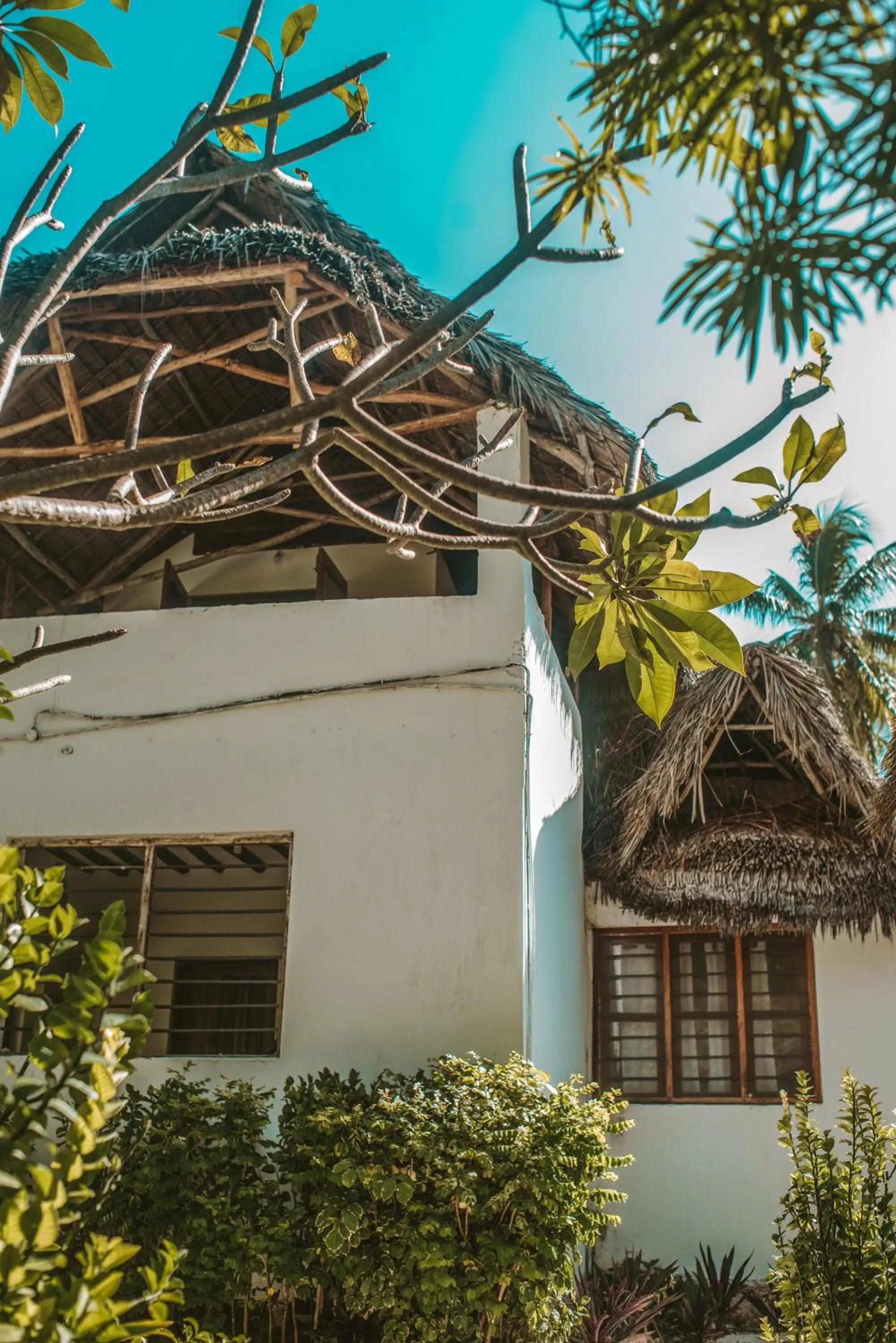 Property building in Zanzibar Gem Beach Bungalows