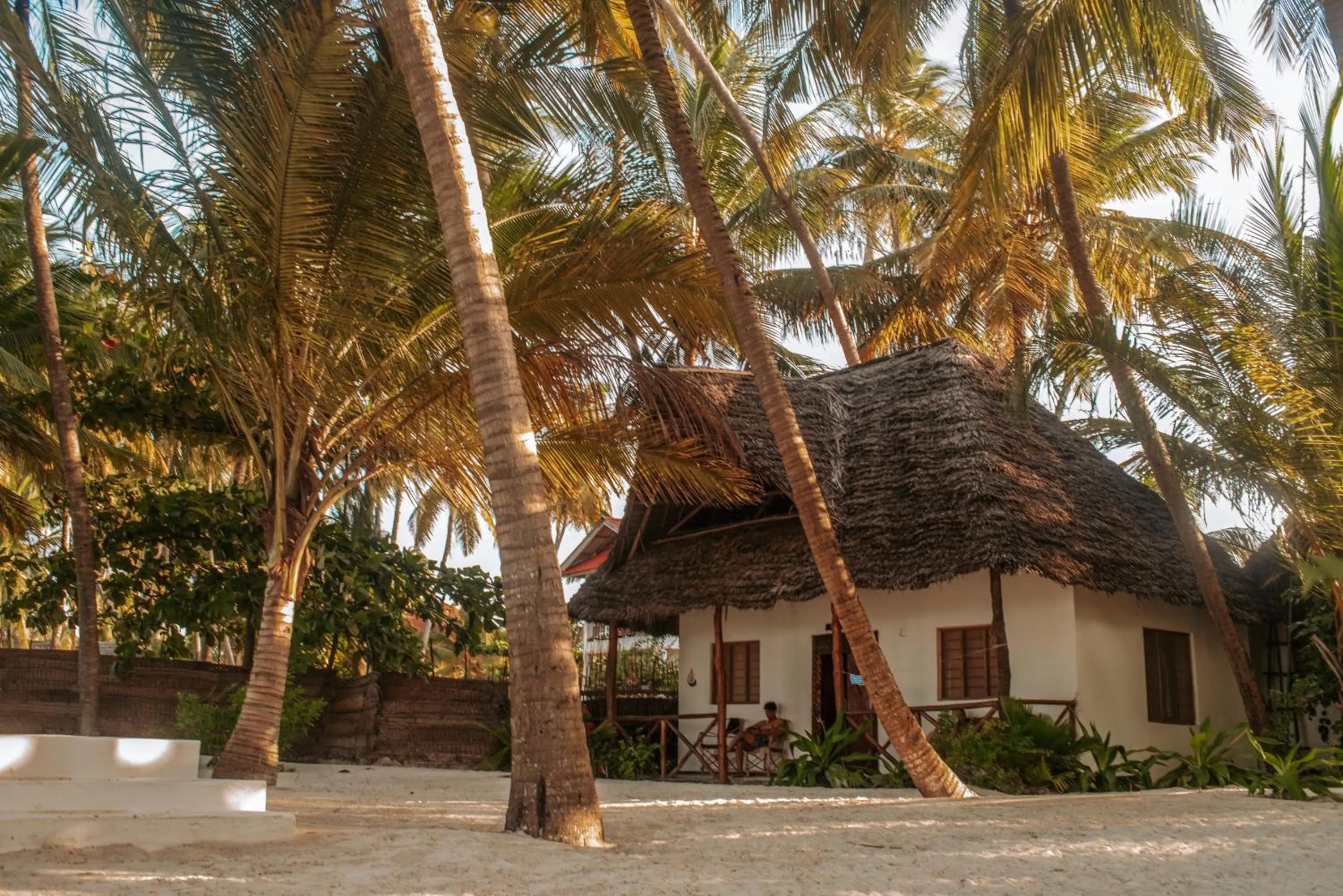 Garden in Zanzibar Gem Beach Bungalows