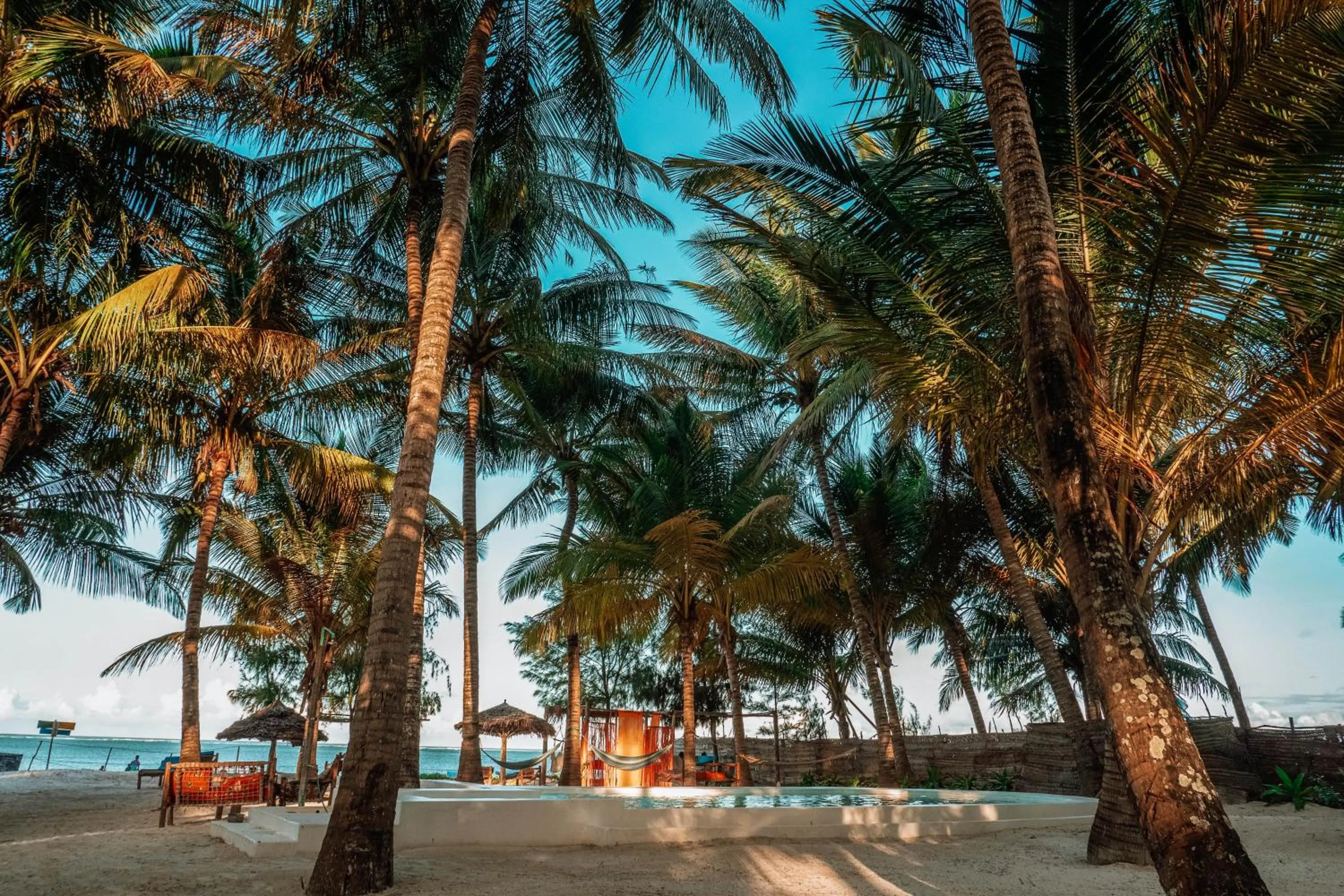 Activities in Zanzibar Gem Beach Bungalows