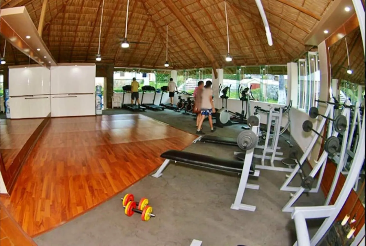 manzanillo villas del palmar