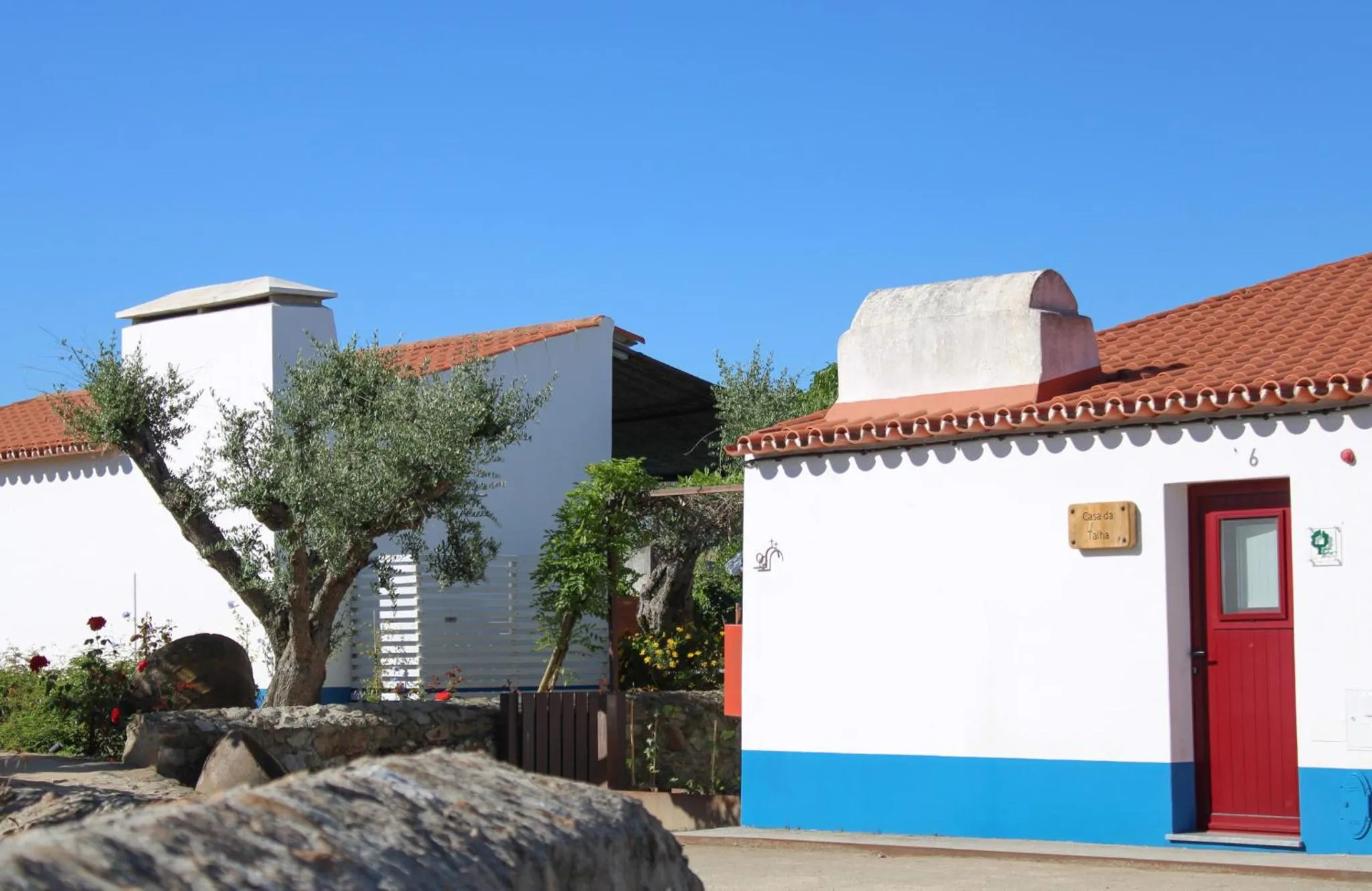 Garden in São Brás do Regedouro - Turismo na Aldeia