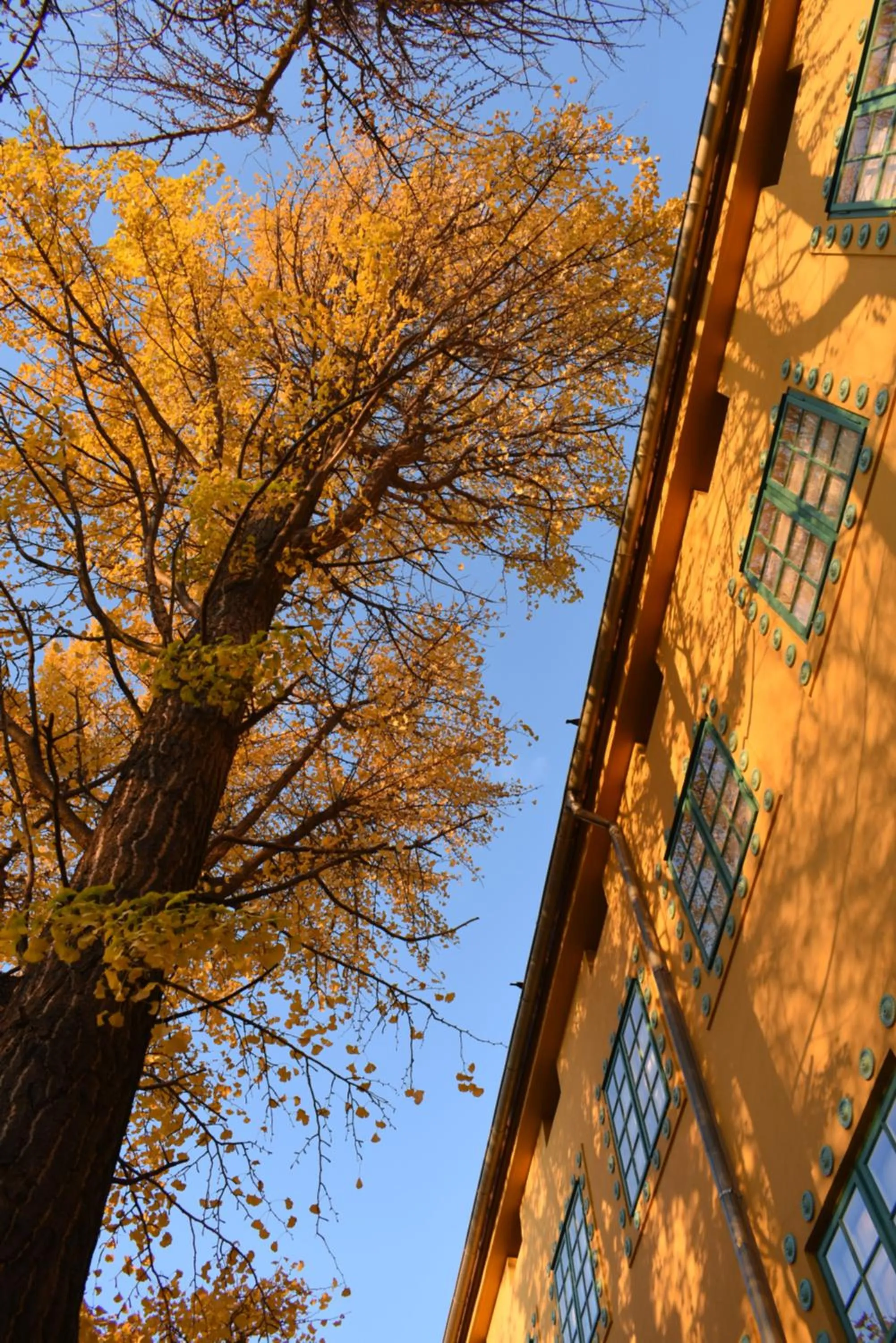 Property building in Zsolnay Negyed Vendégháza