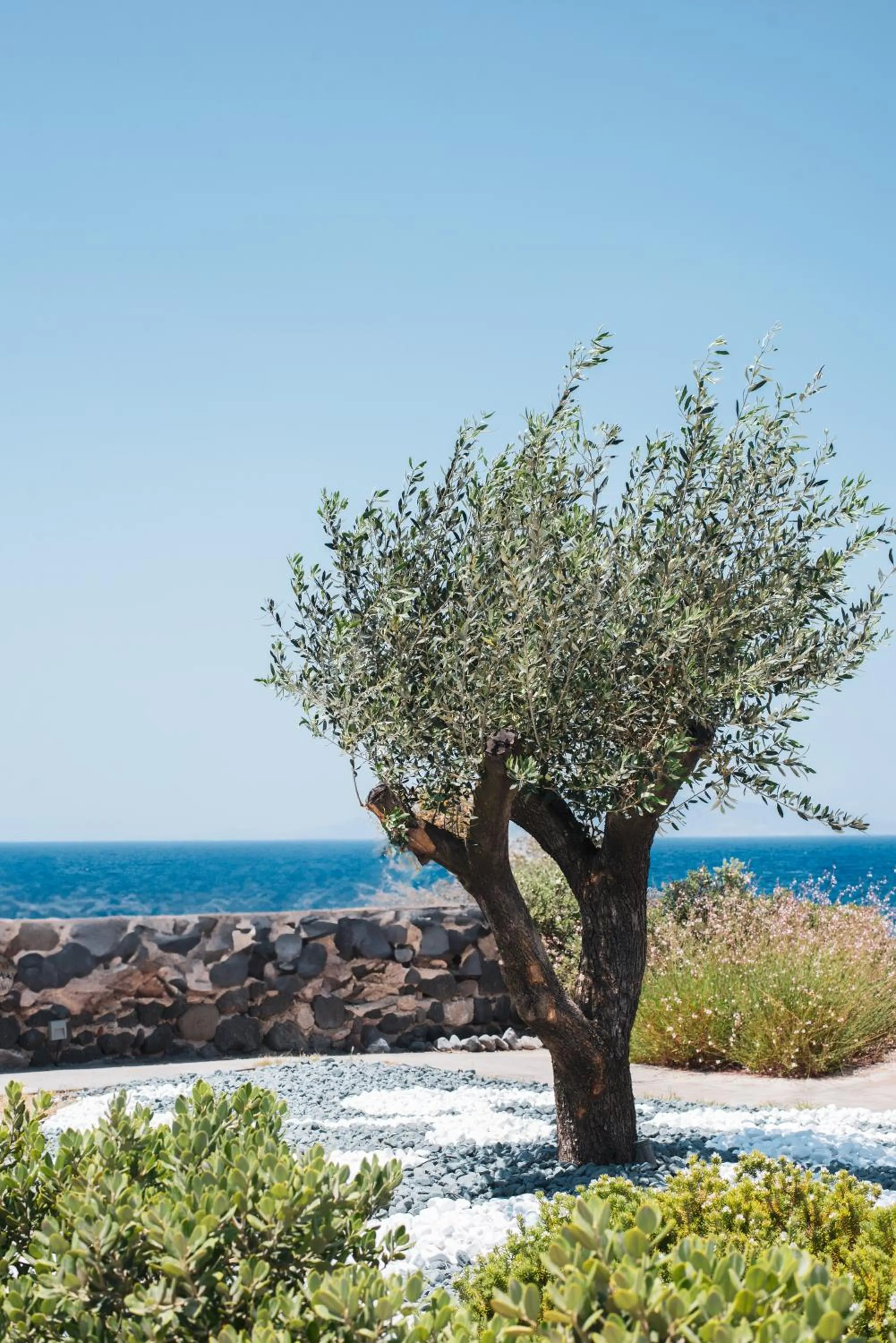 Day in Colombos Beachfront