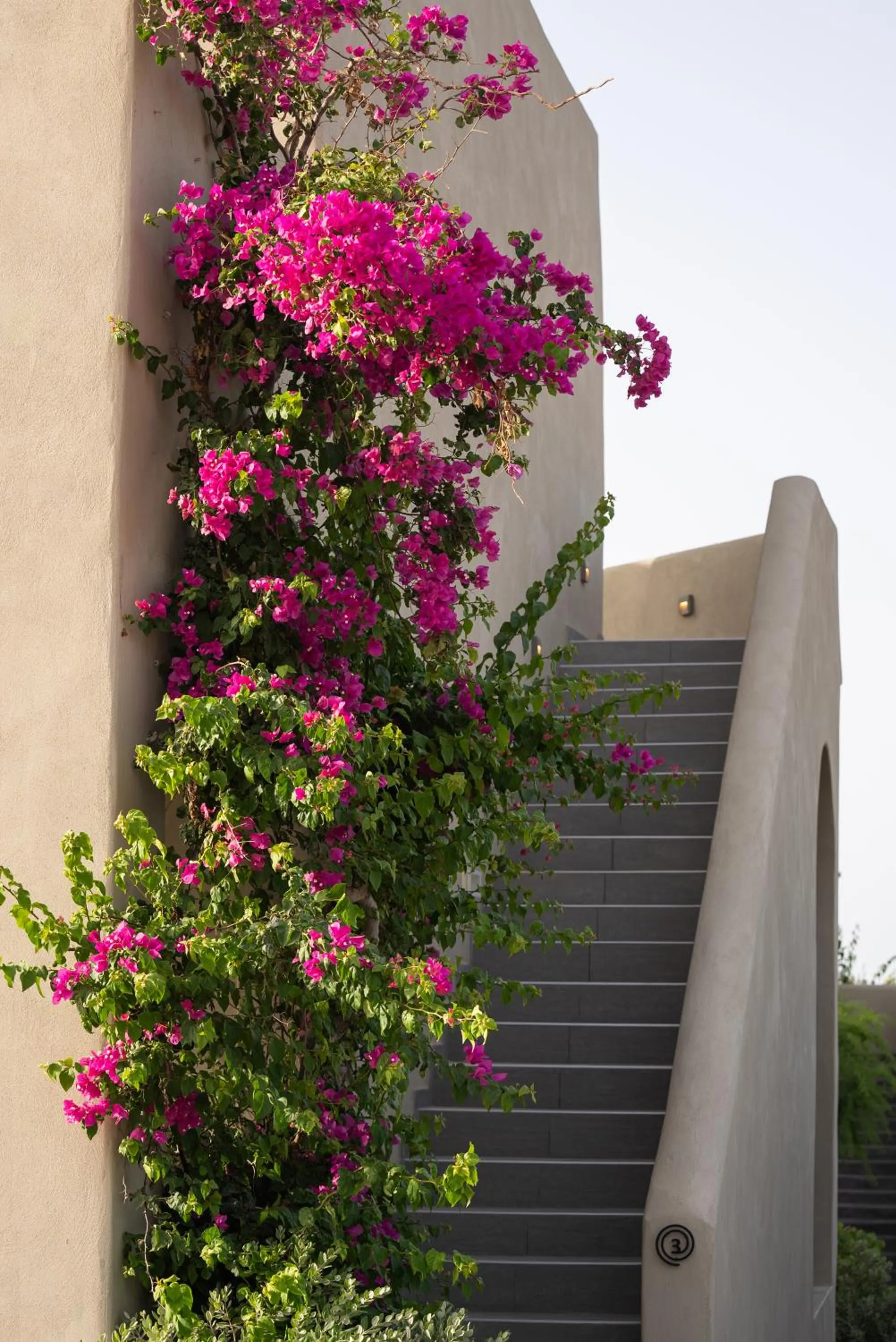 Property building in Colombos Beachfront