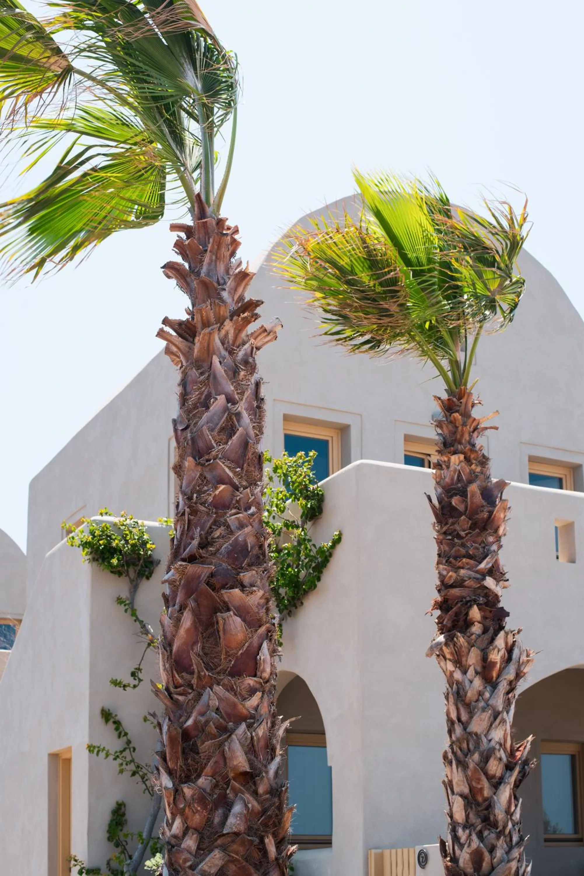 Property building in Colombos Beachfront