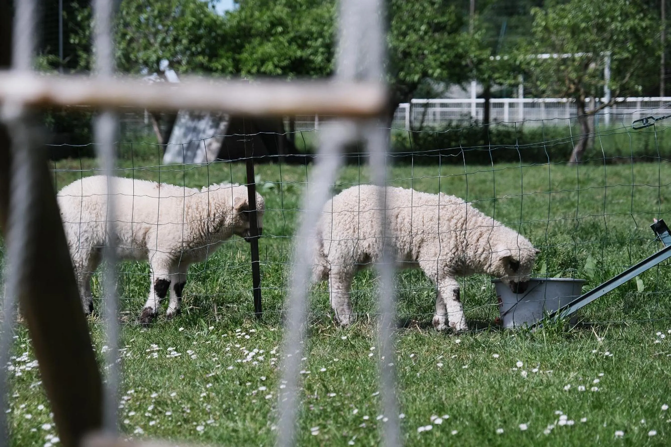 Garden in La Maison De Maria