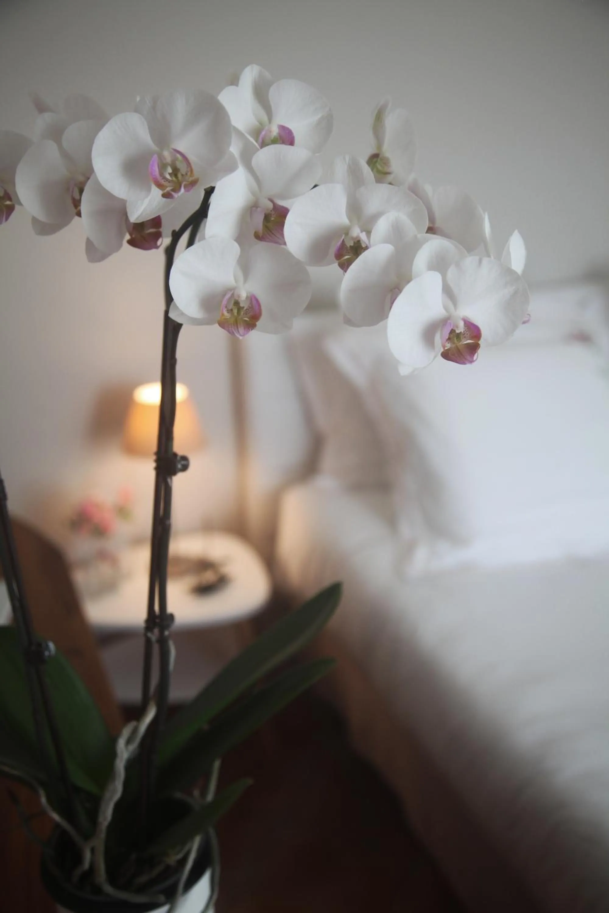 Bed in La Maison De Maria