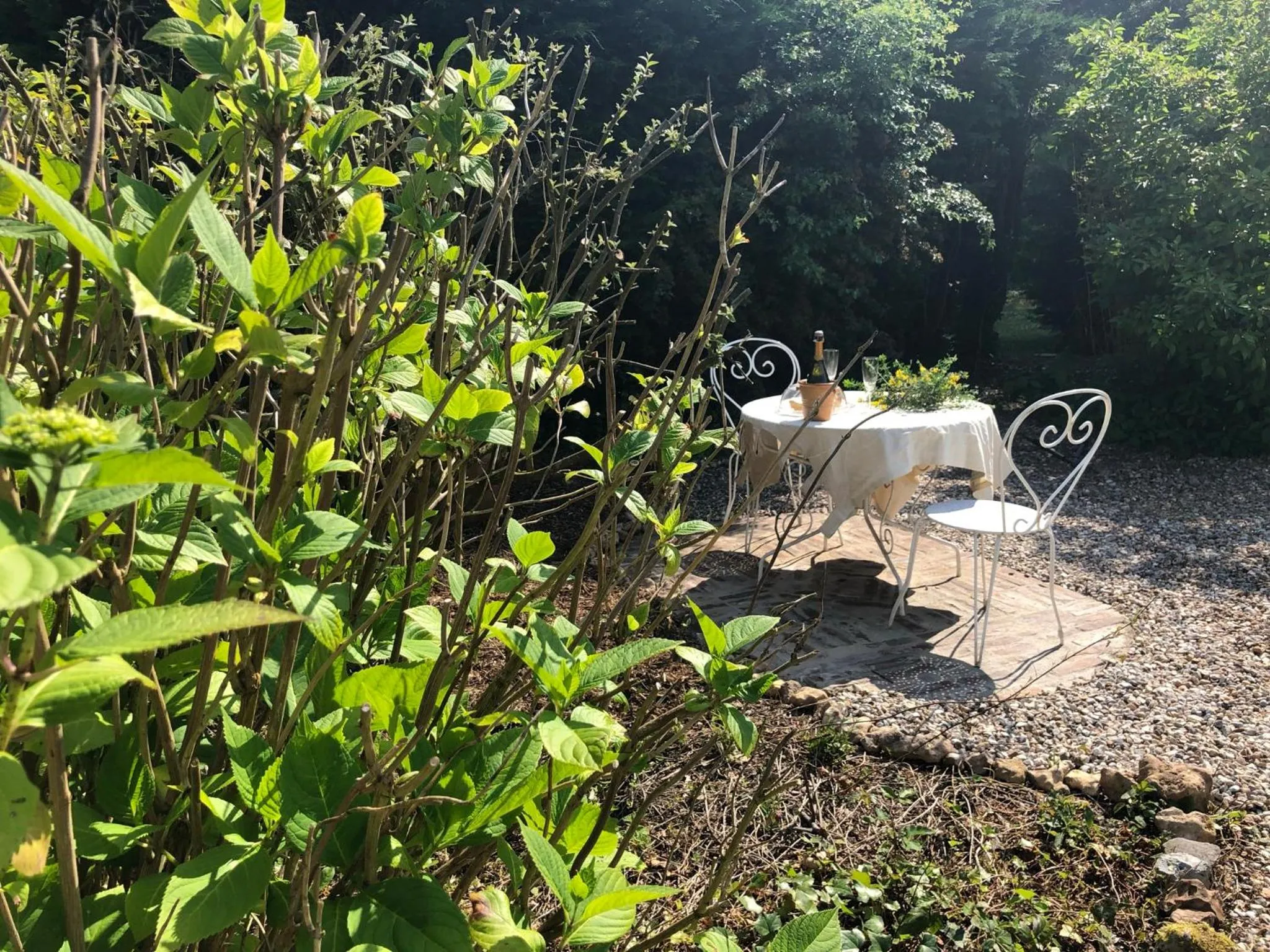 Garden in Jardin des Pérelles