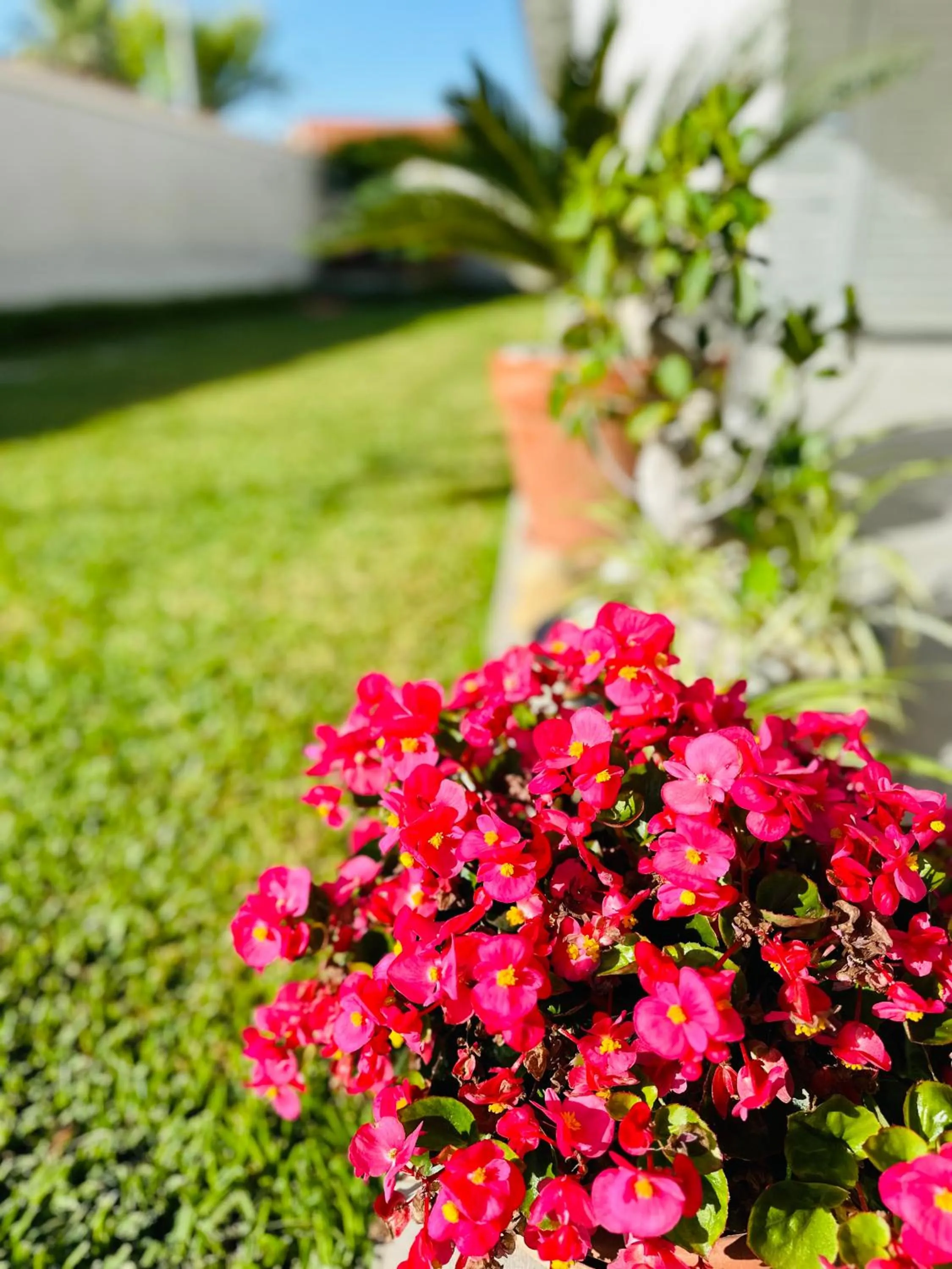 Garden in InVilla Bed&Breakfast - Quality Rooms