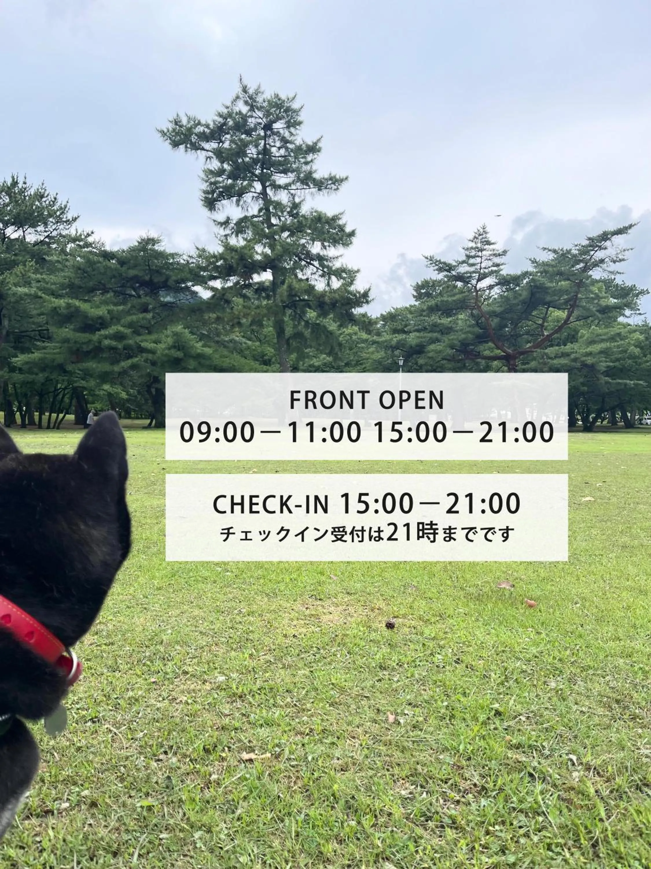 Other in J-Hoppers Beppu Guesthouse ジェイホッパーズ別府ゲストハウス