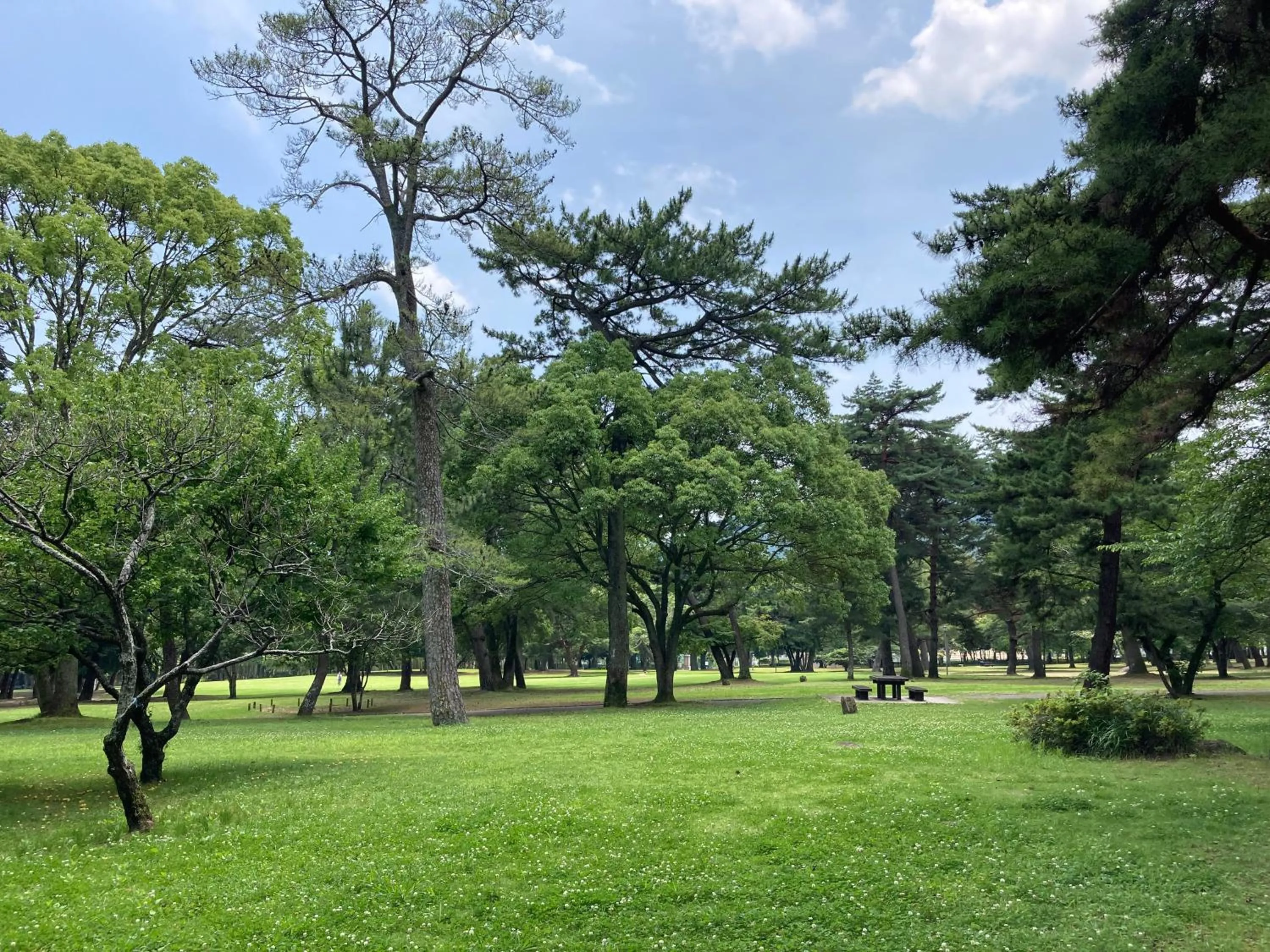 Neighbourhood in J-Hoppers Beppu Guesthouse ジェイホッパーズ別府ゲストハウス