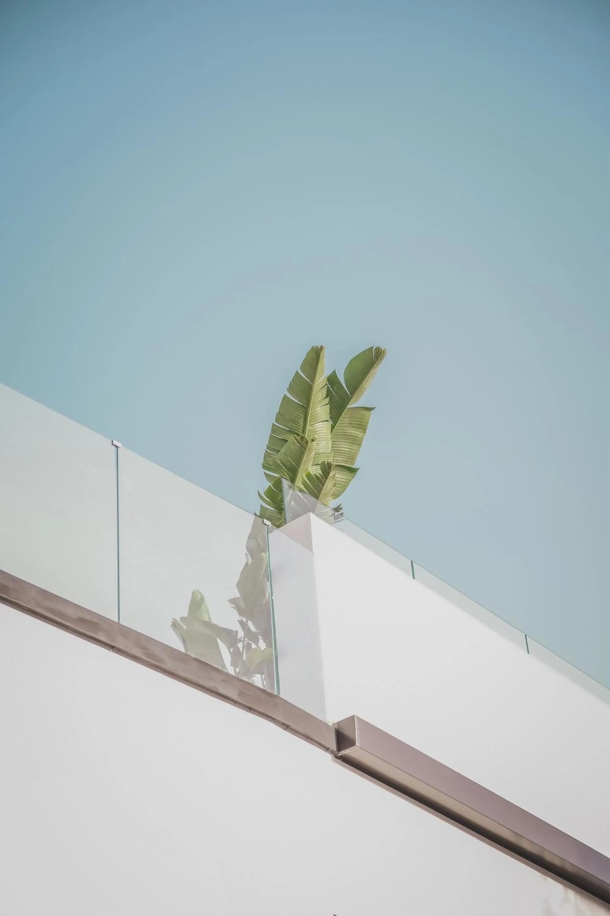 Property building in SCIABICA SUITE - Sicilian Experience