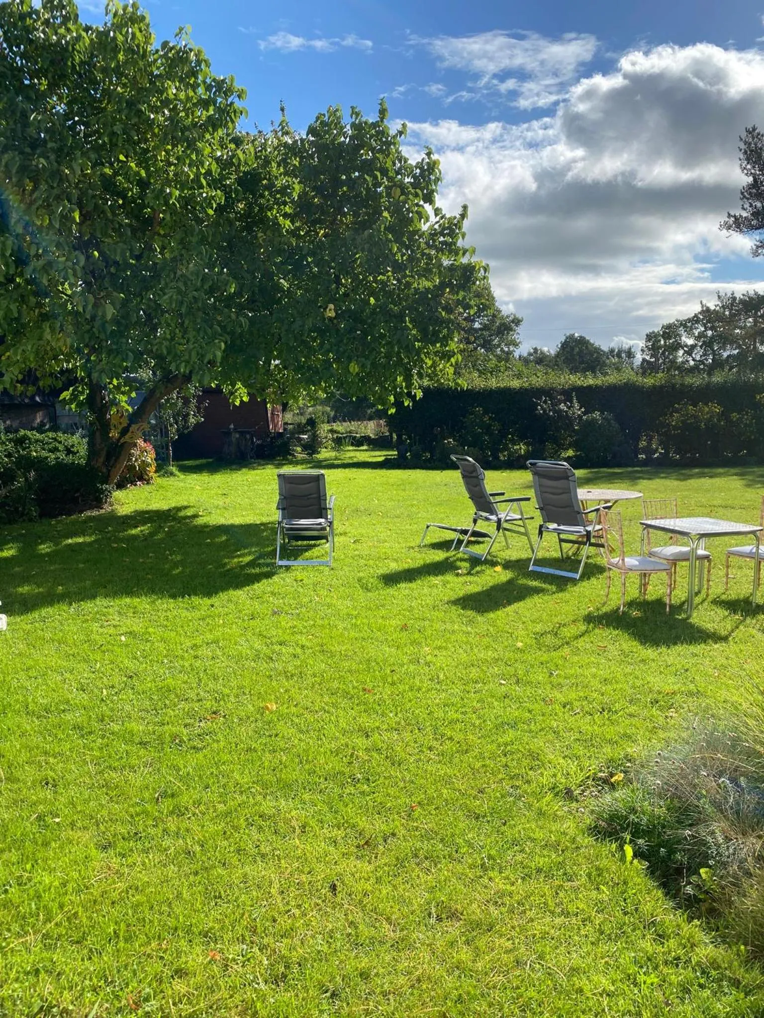 Balcony/Terrace in Art House B & B