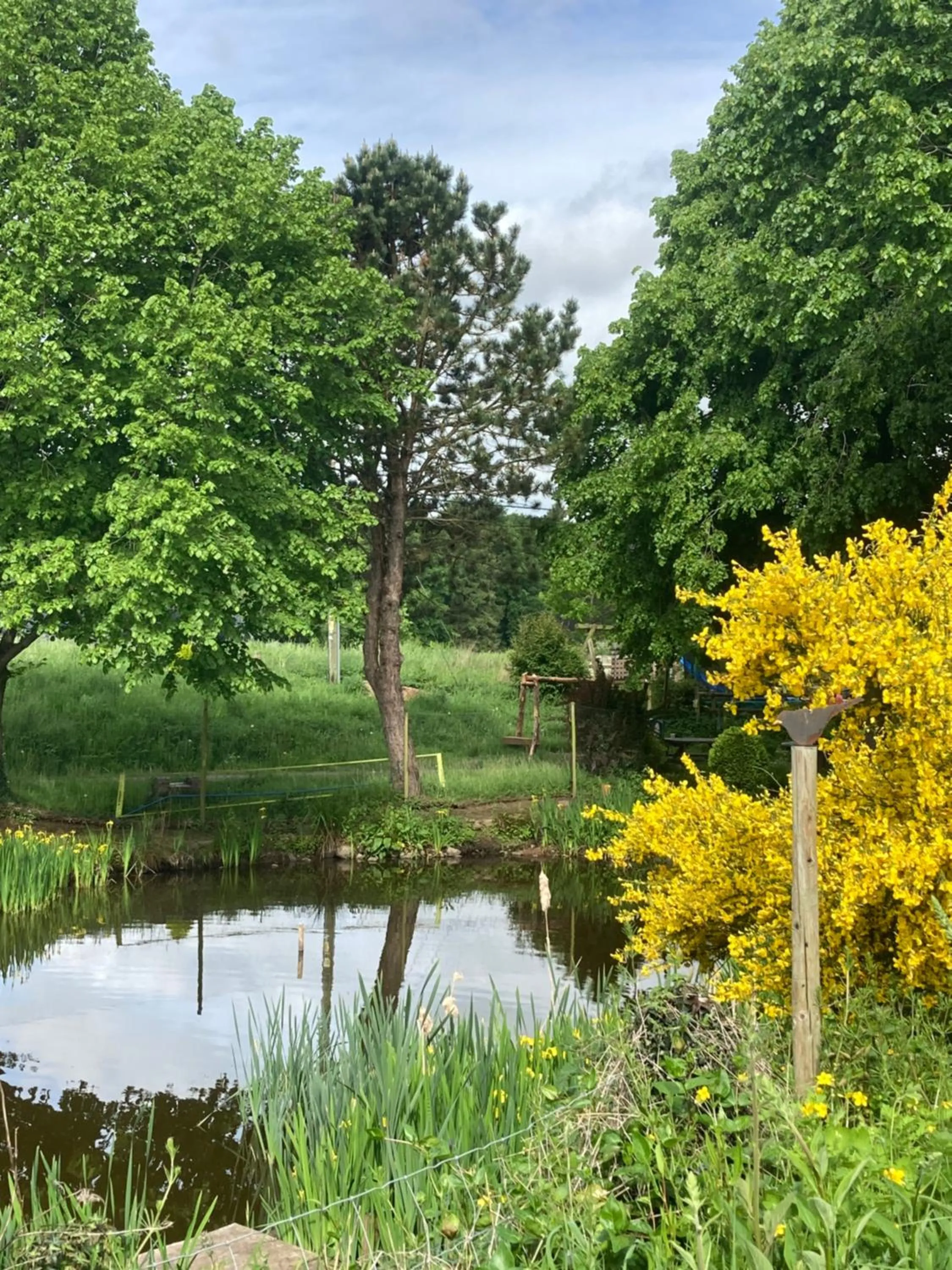 Natural landscape in Art House B & B