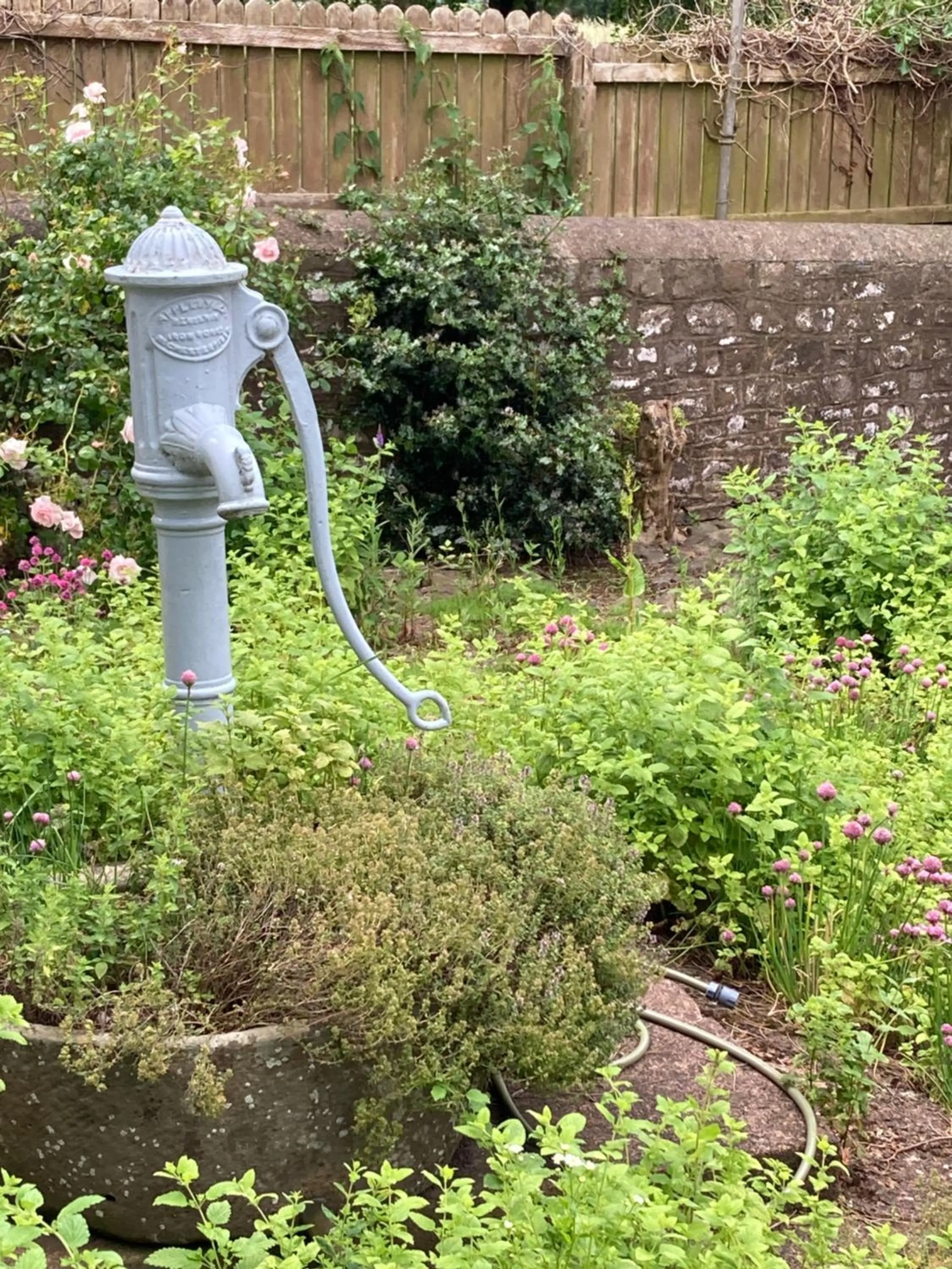 Garden in Art House B & B