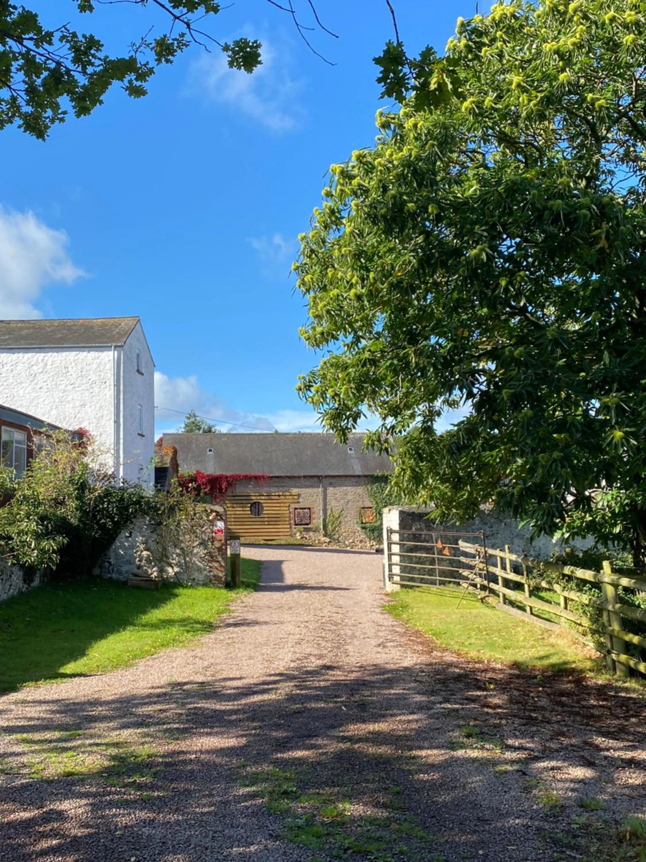 Property building in Art House B & B