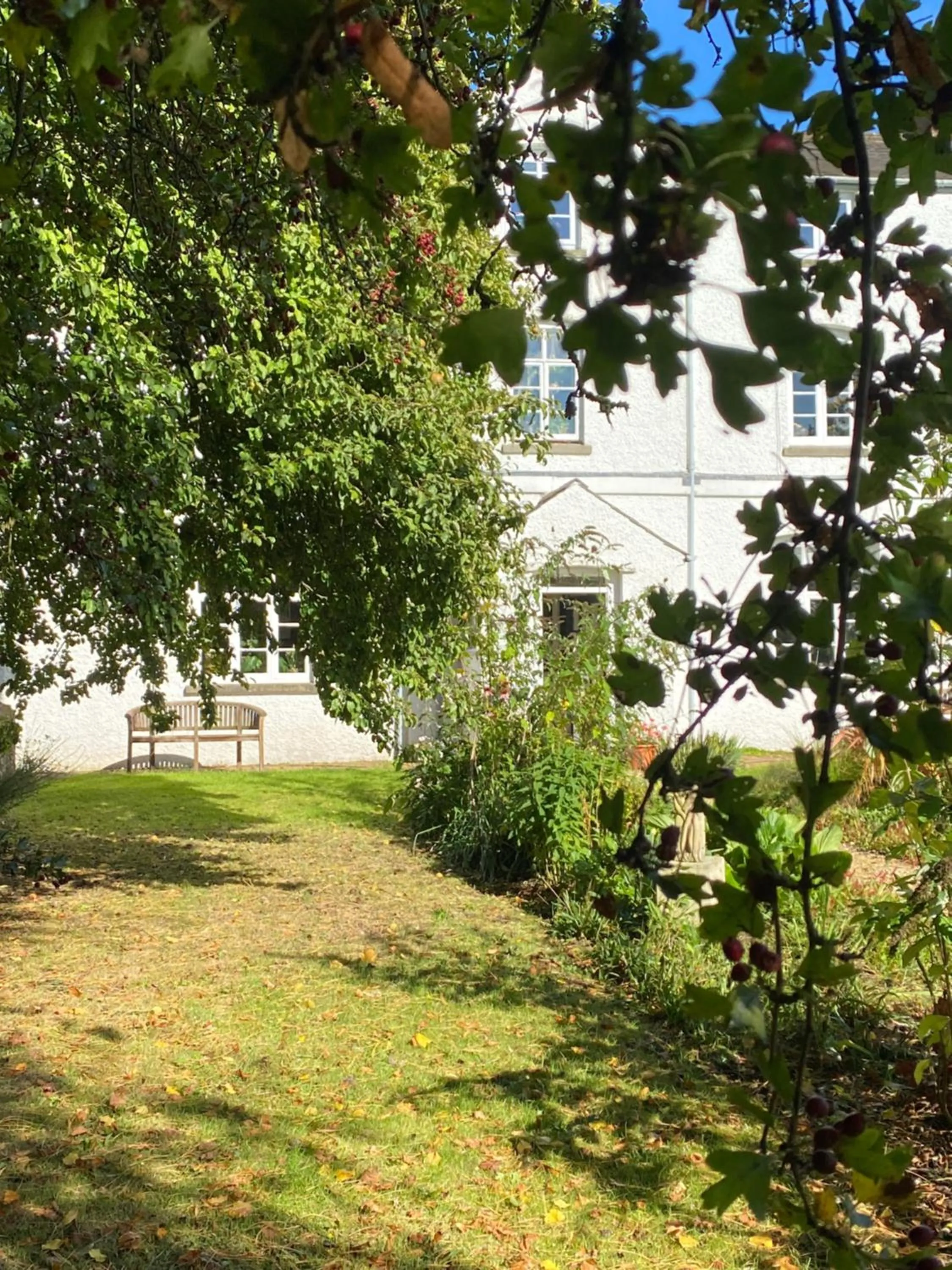 Property building in Art House B & B