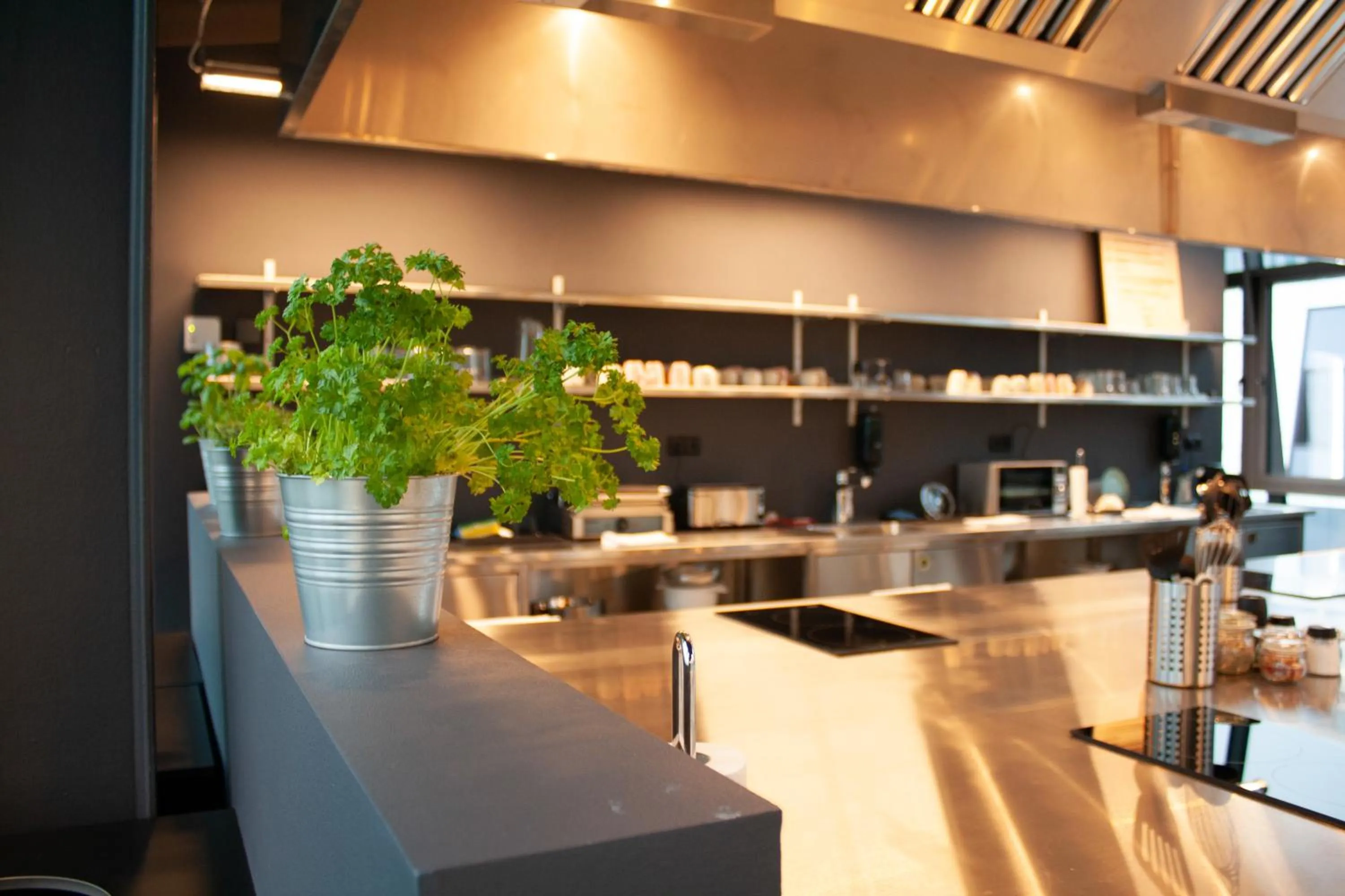 Restaurant/places to eat in Next House Copenhagen