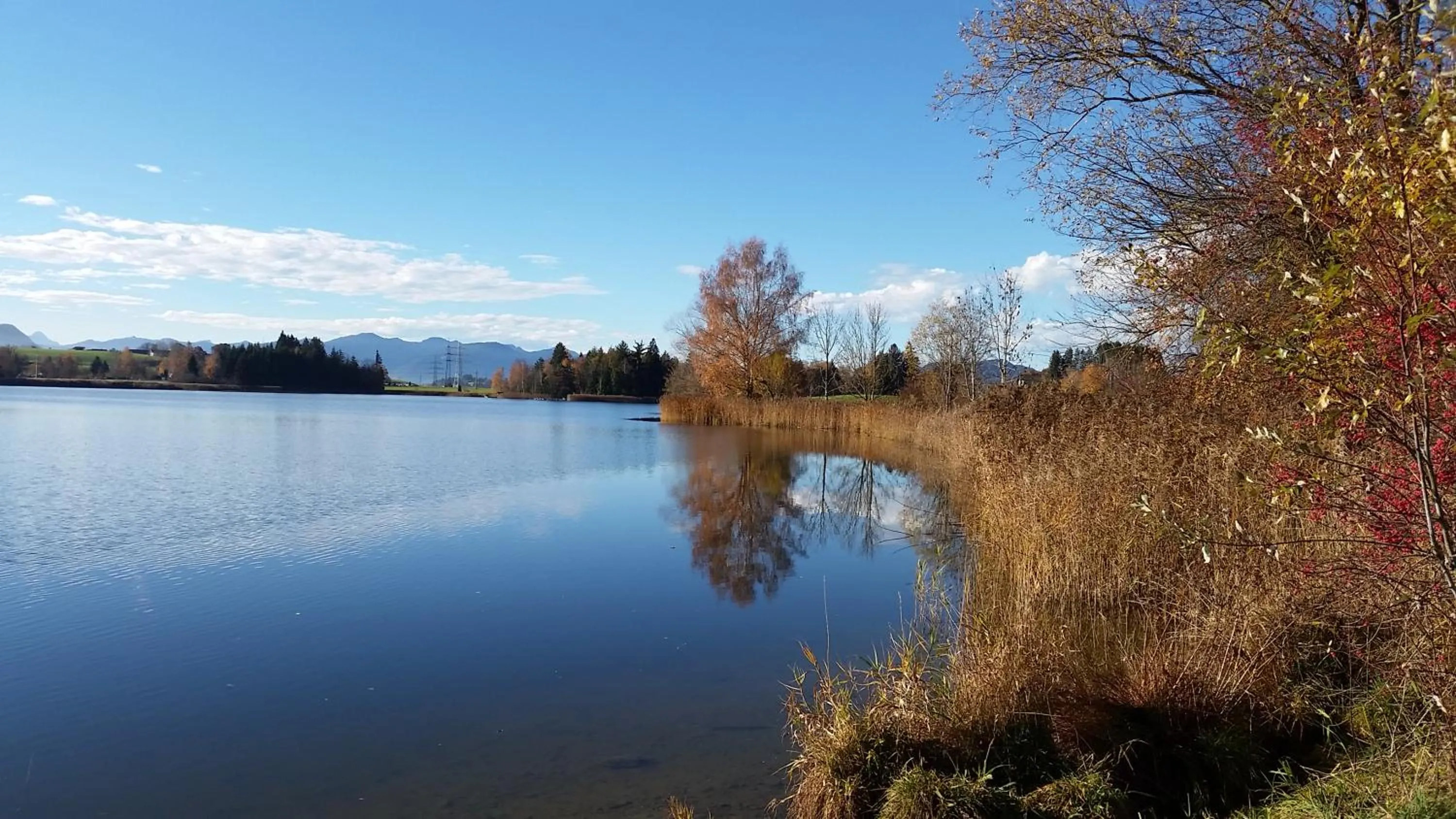 Natural landscape in Hotel Garni Malerwinkl
