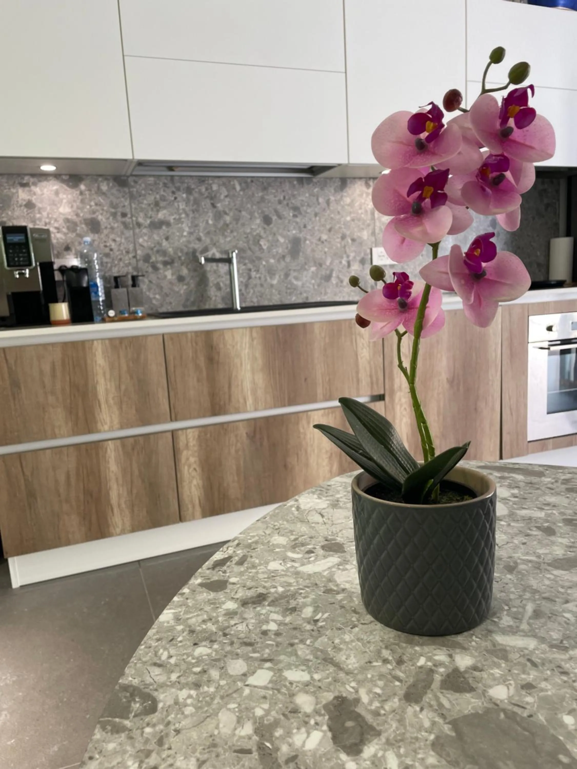 Staff in Tropicana Suite - Adults Only