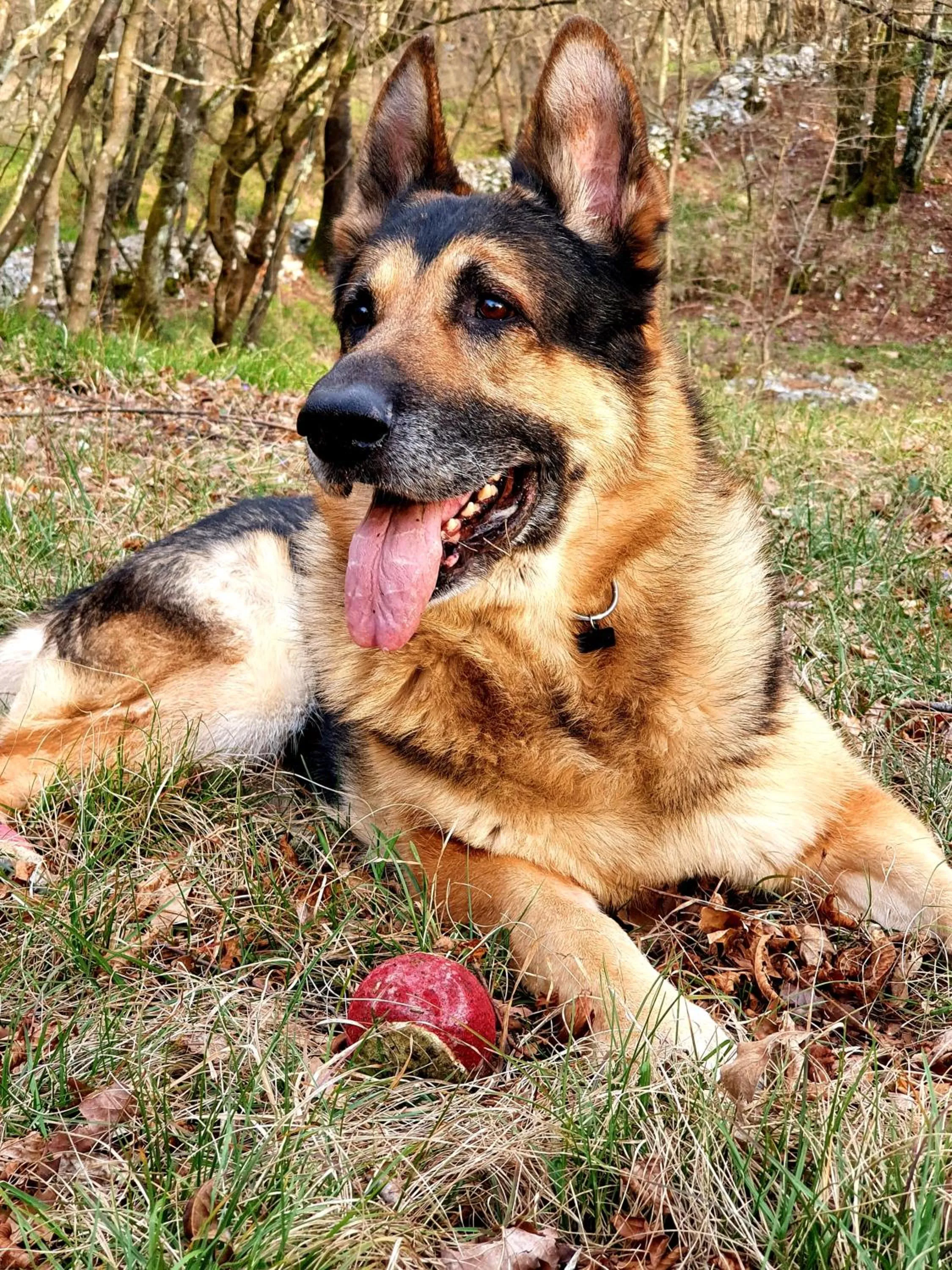 Le Casite Bed & Breakfast