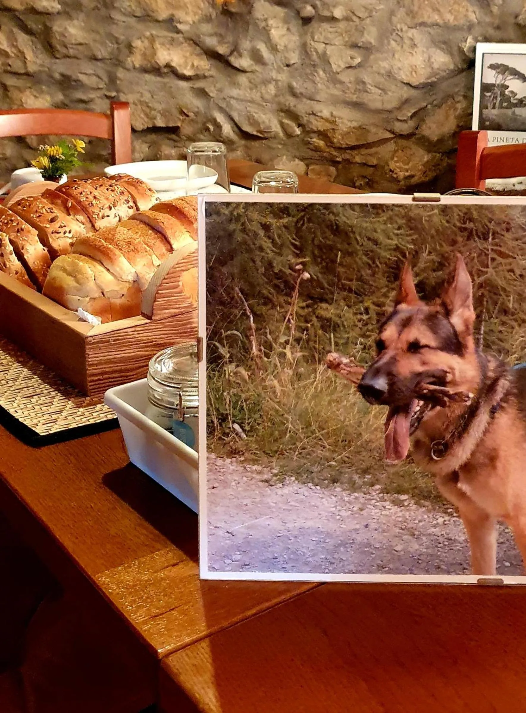 Le Casite Bed & Breakfast