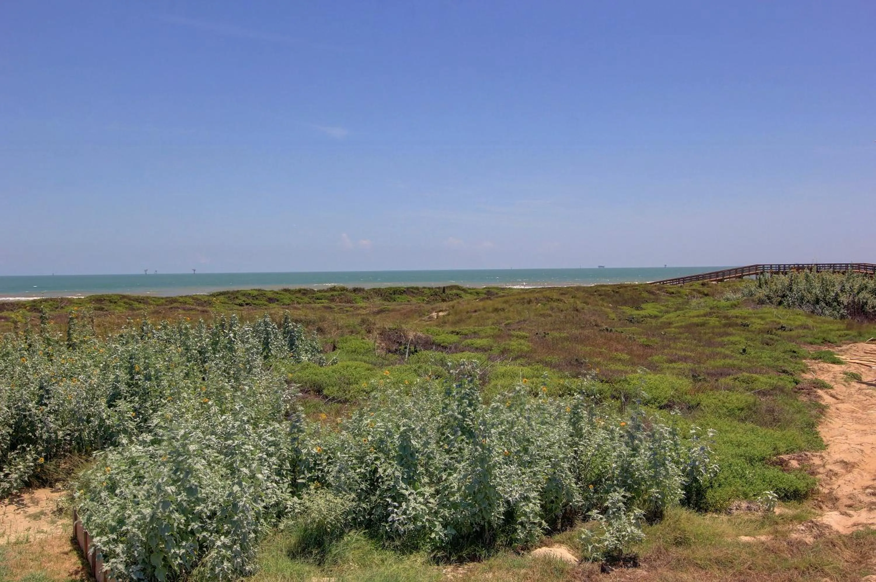 Other in The Pearl of Port A GW108