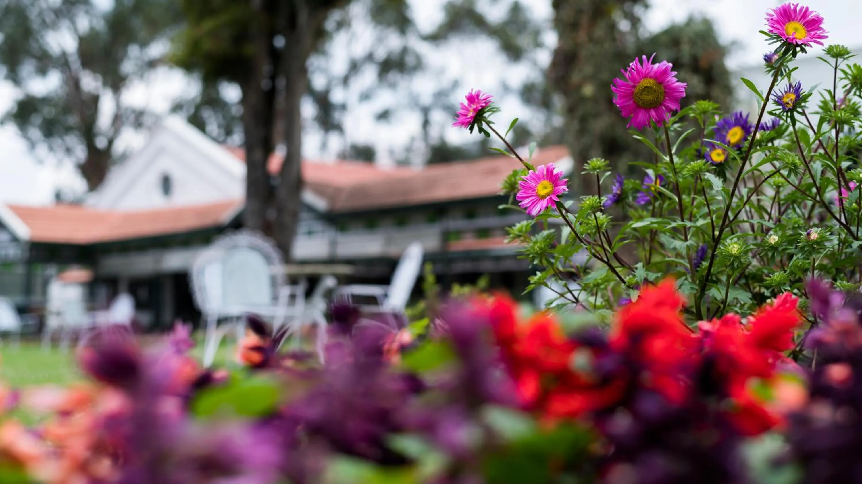 People in Savoy - IHCL SeleQtions