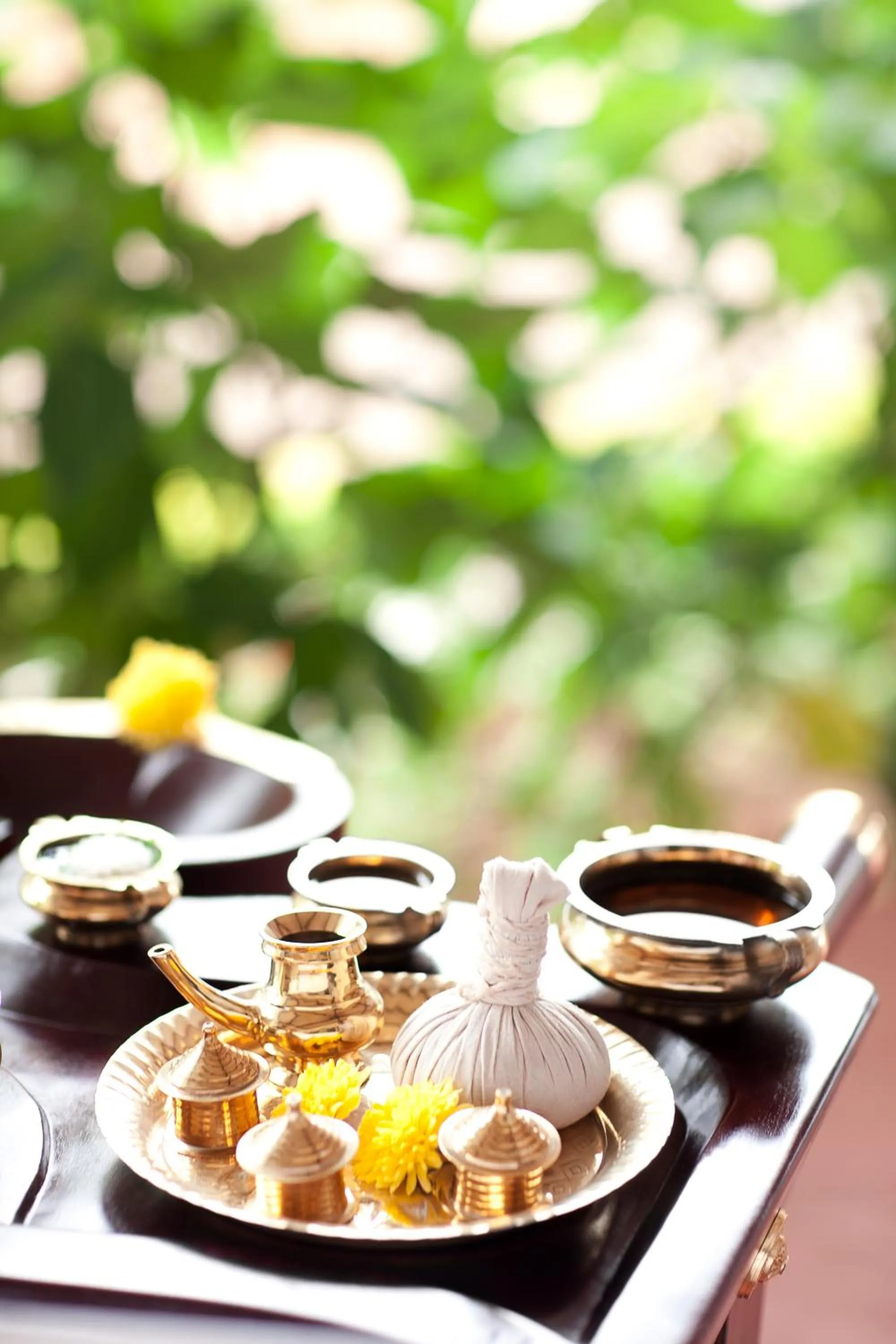 Spa and wellness centre/facilities in Gateway Coonoor