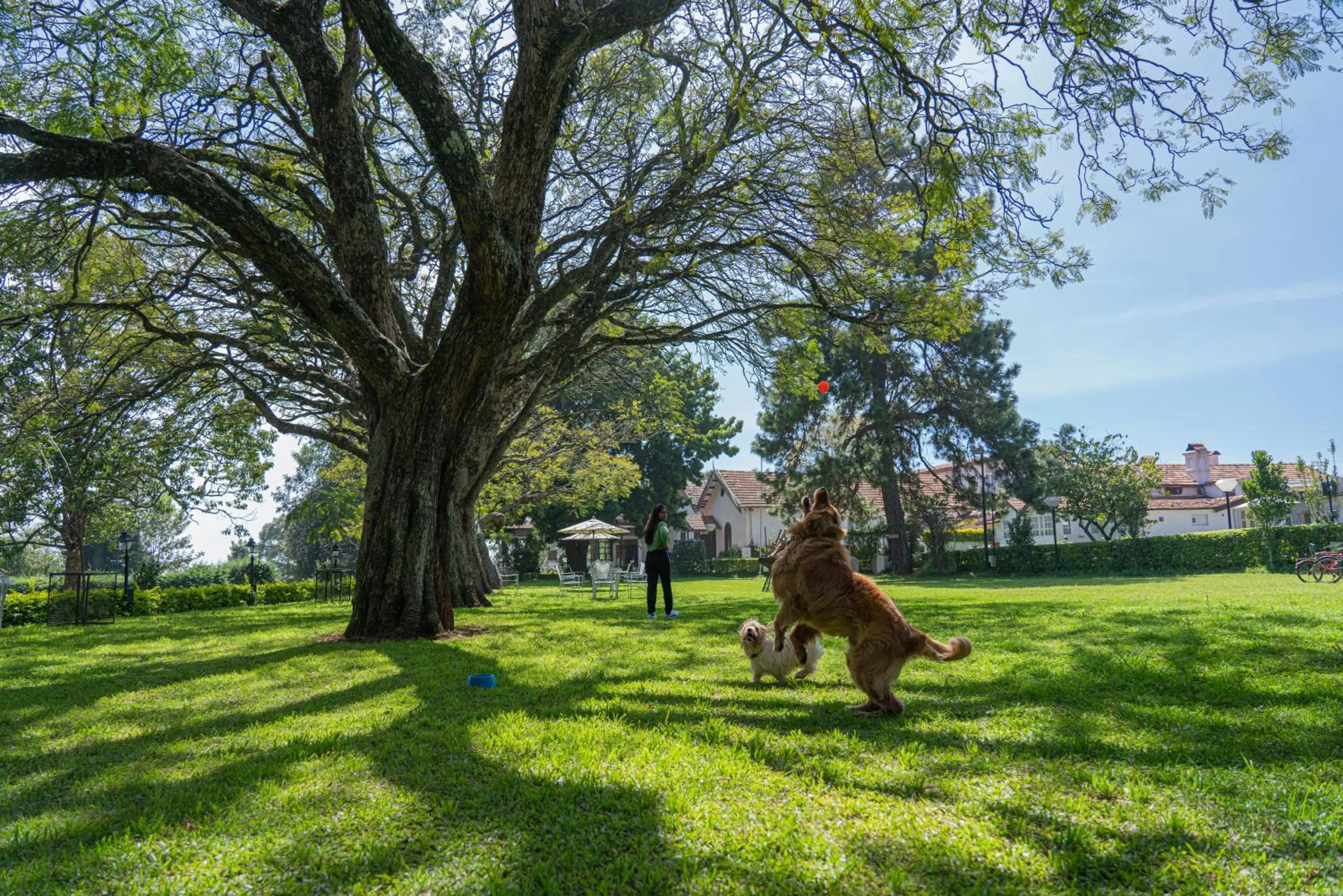 Garden in Gateway Coonoor