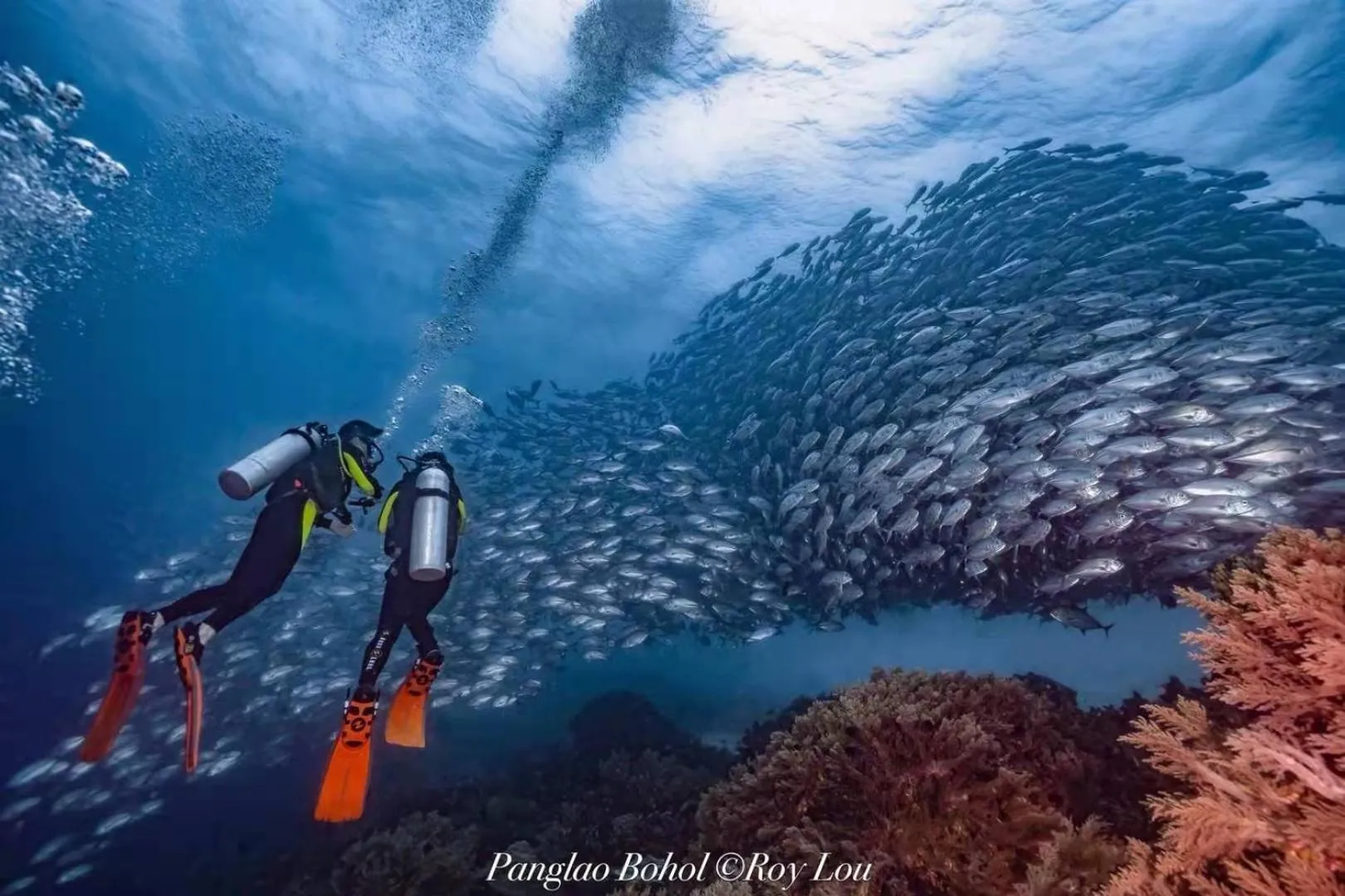 Diving in Ultra Mint Resort