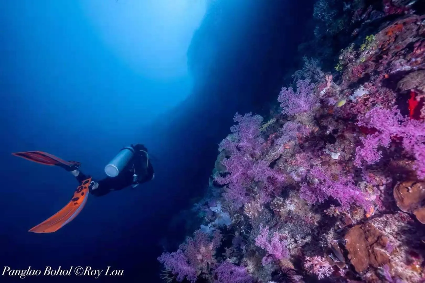 Diving in Ultra Mint Resort