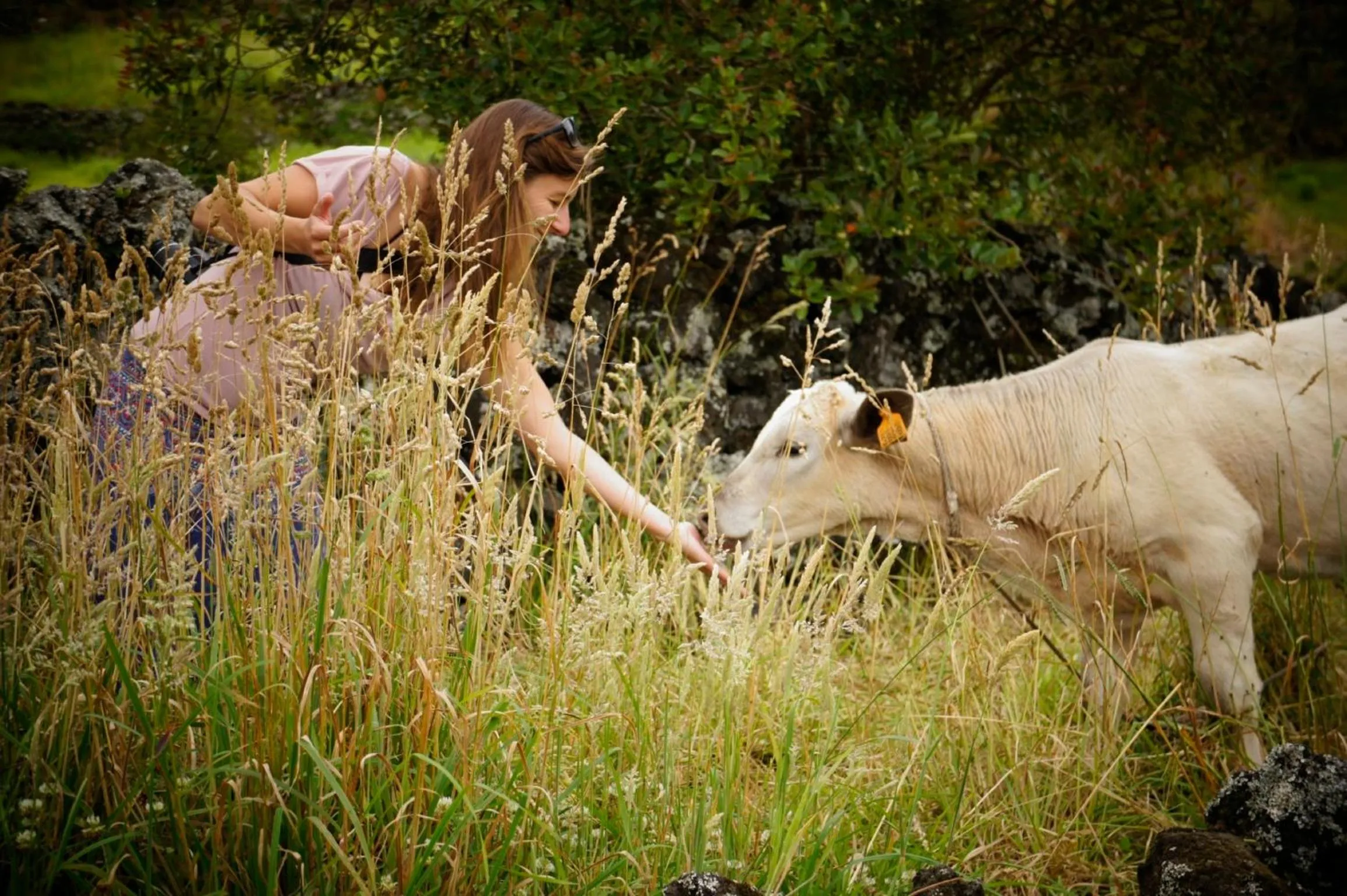 Area and facilities in Calma do Mar