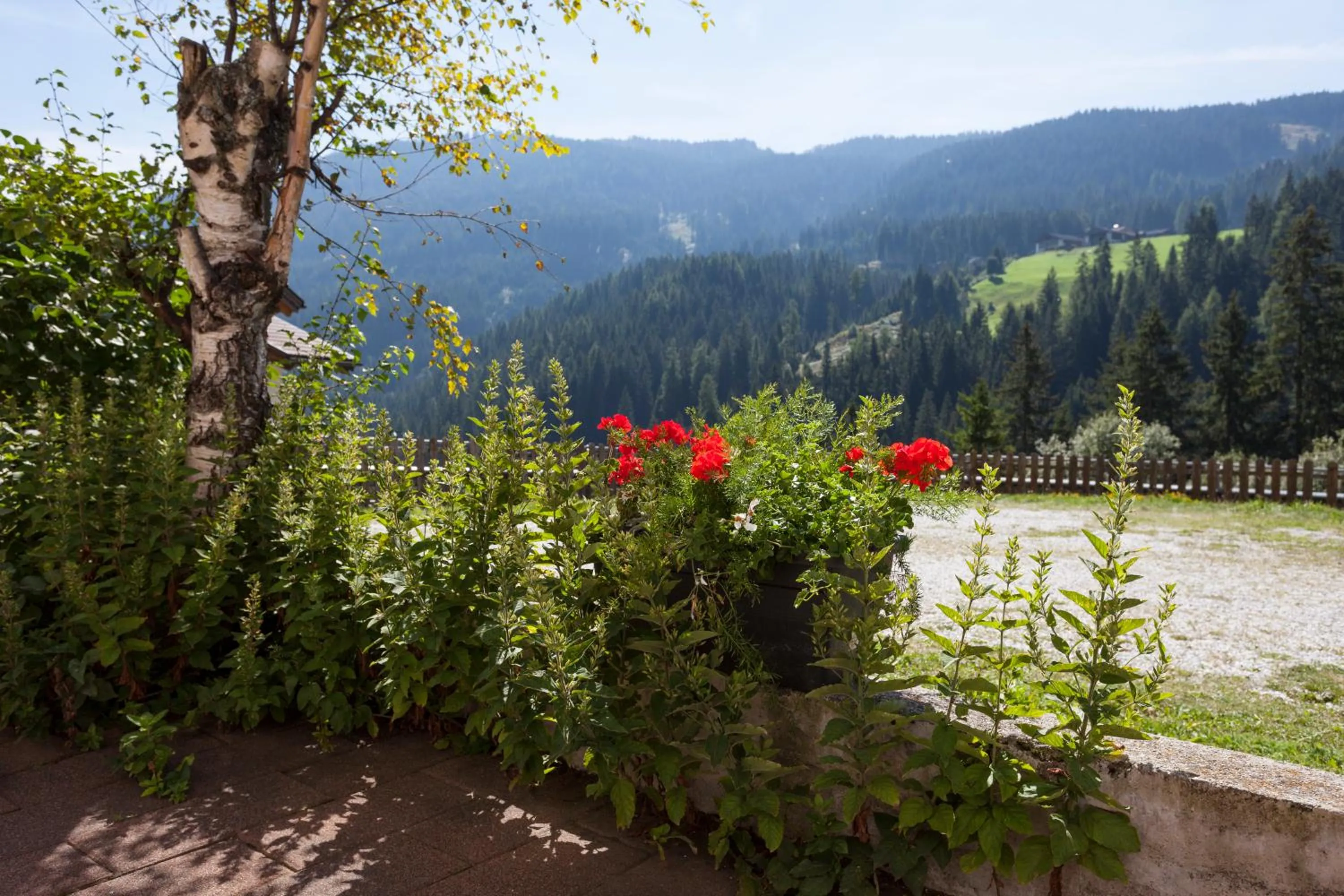 Day in Alpenspitz Appartements - Garni - B&B