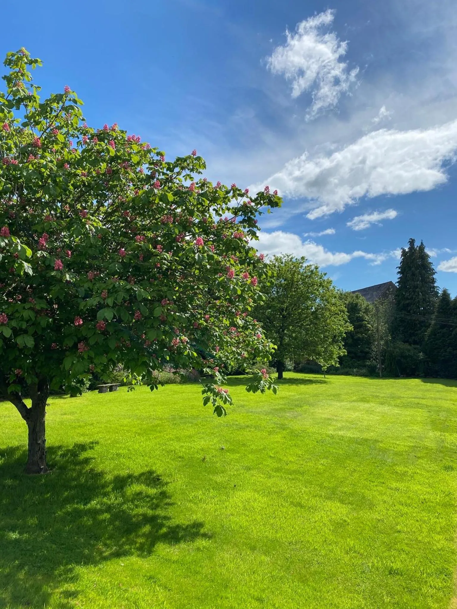 Garden in Three Cocks Hotel