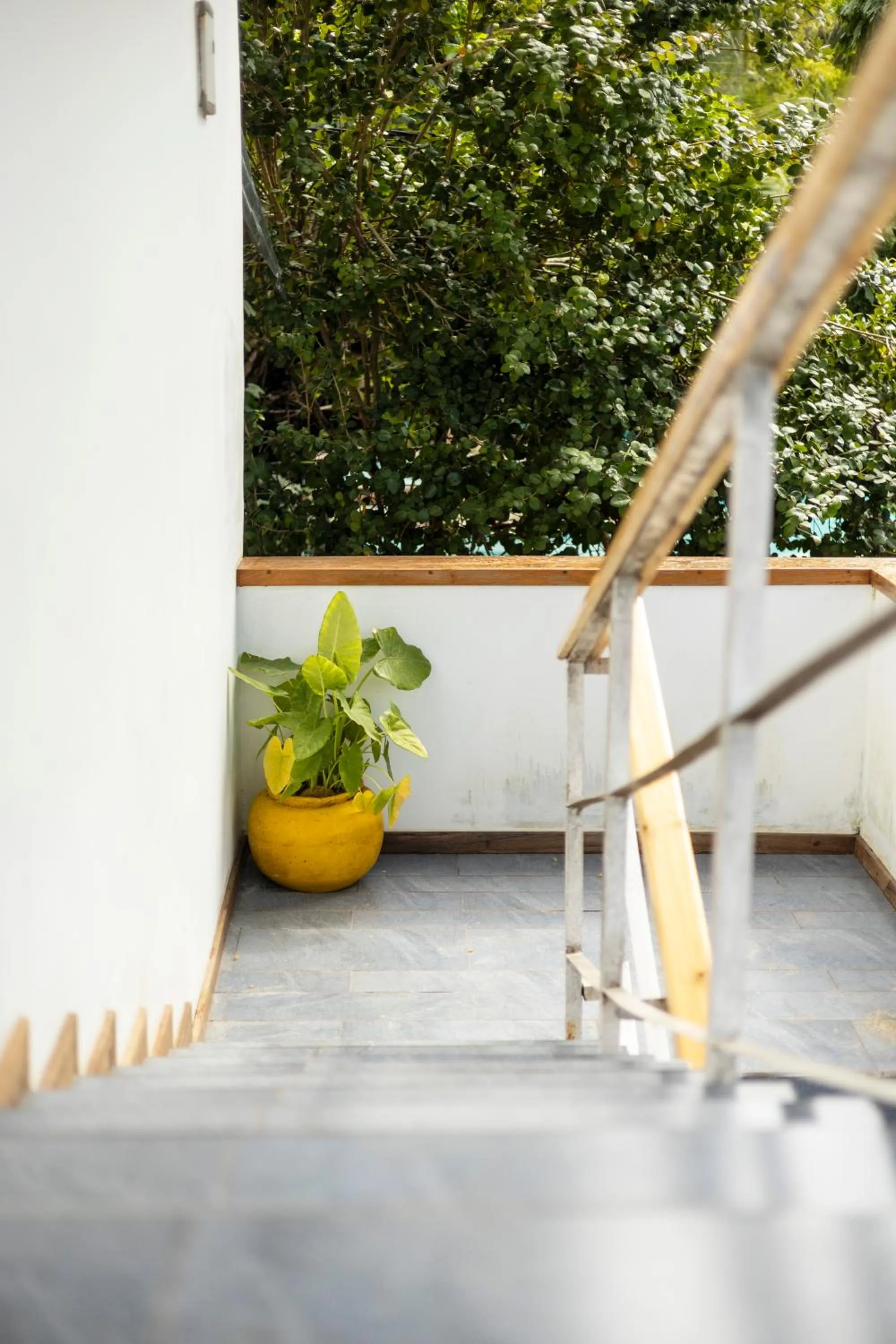 Mem Luxury Apartments and Hotel