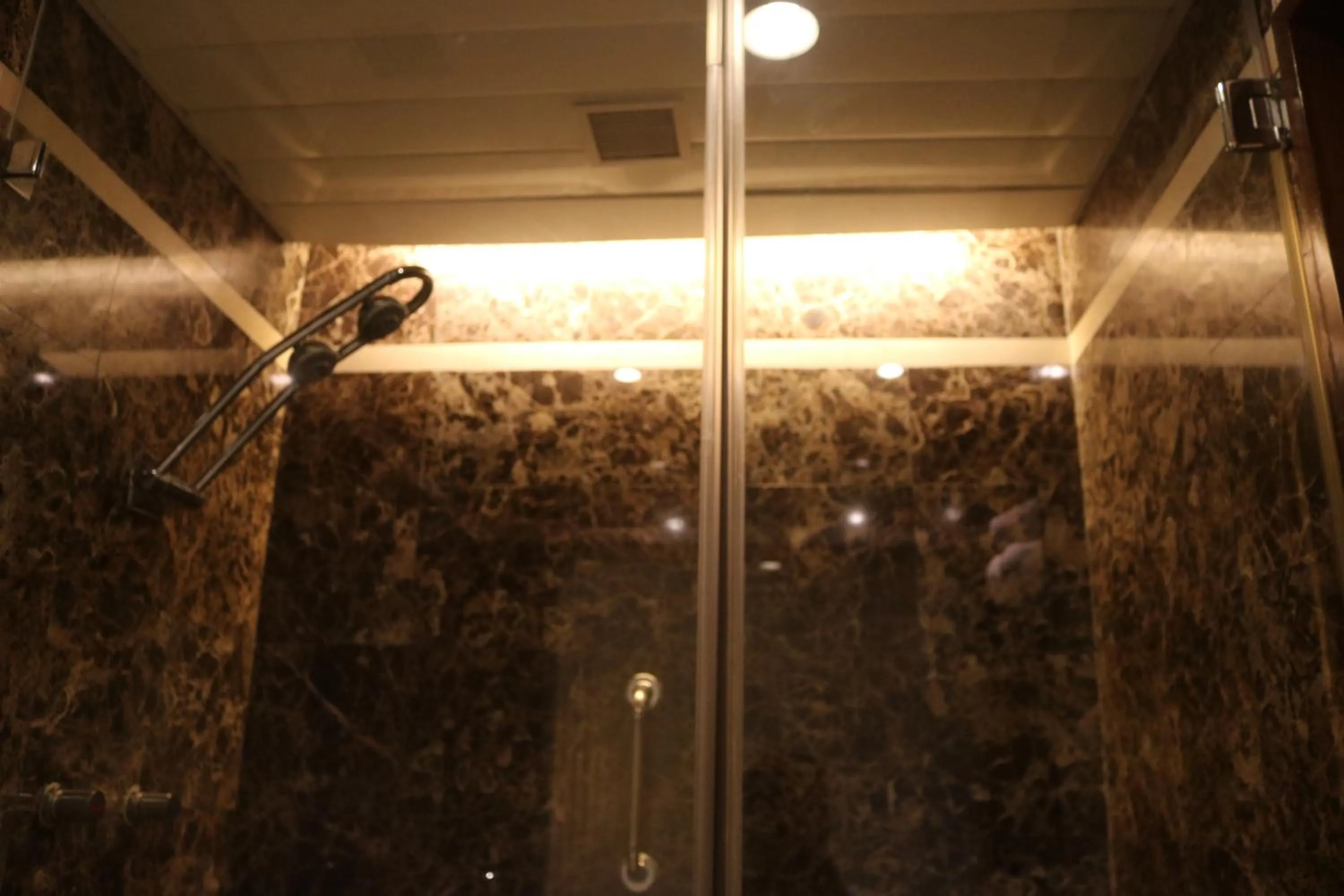 Shower in Taj MG Road Bengaluru