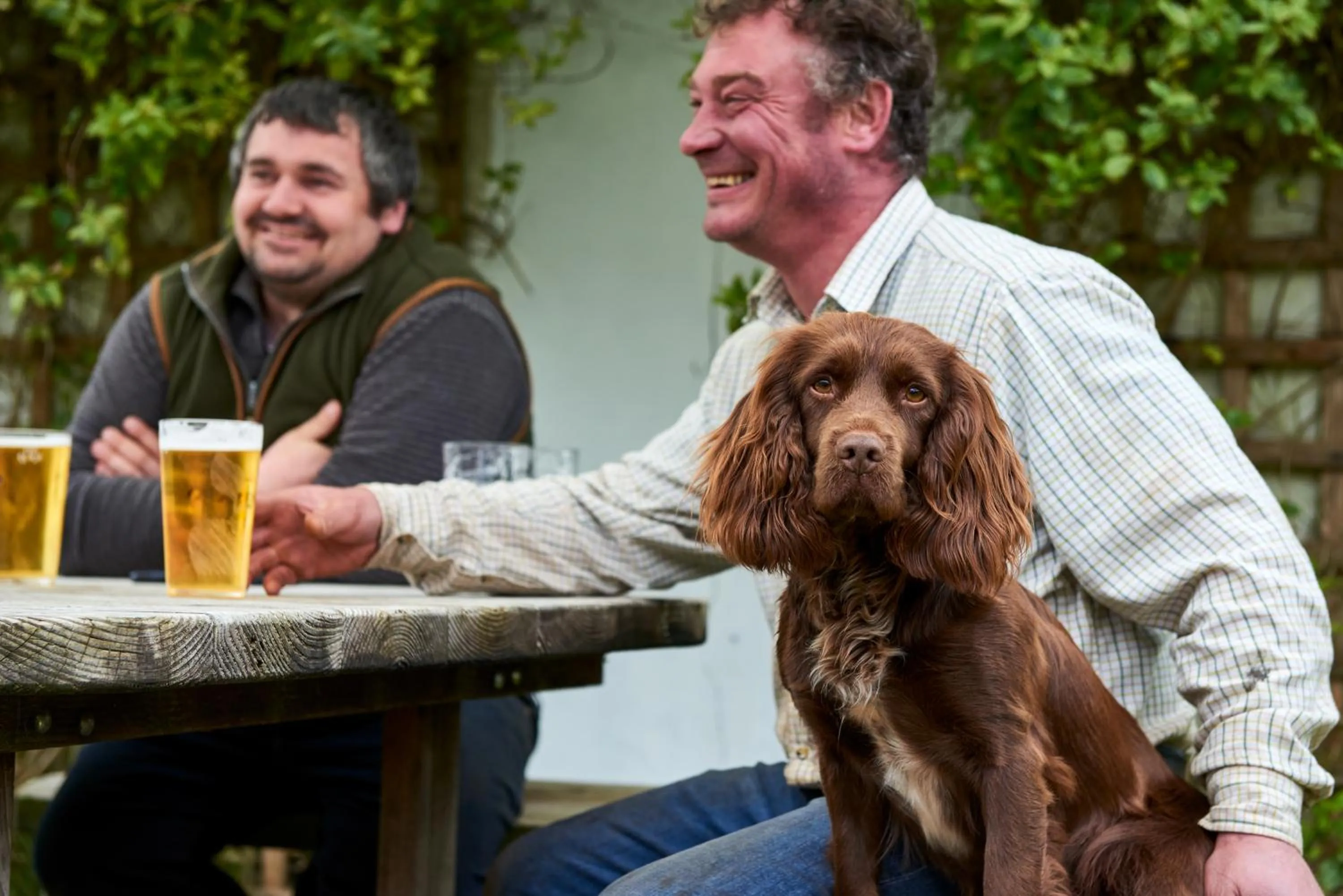 Garden in The Martlet Inn