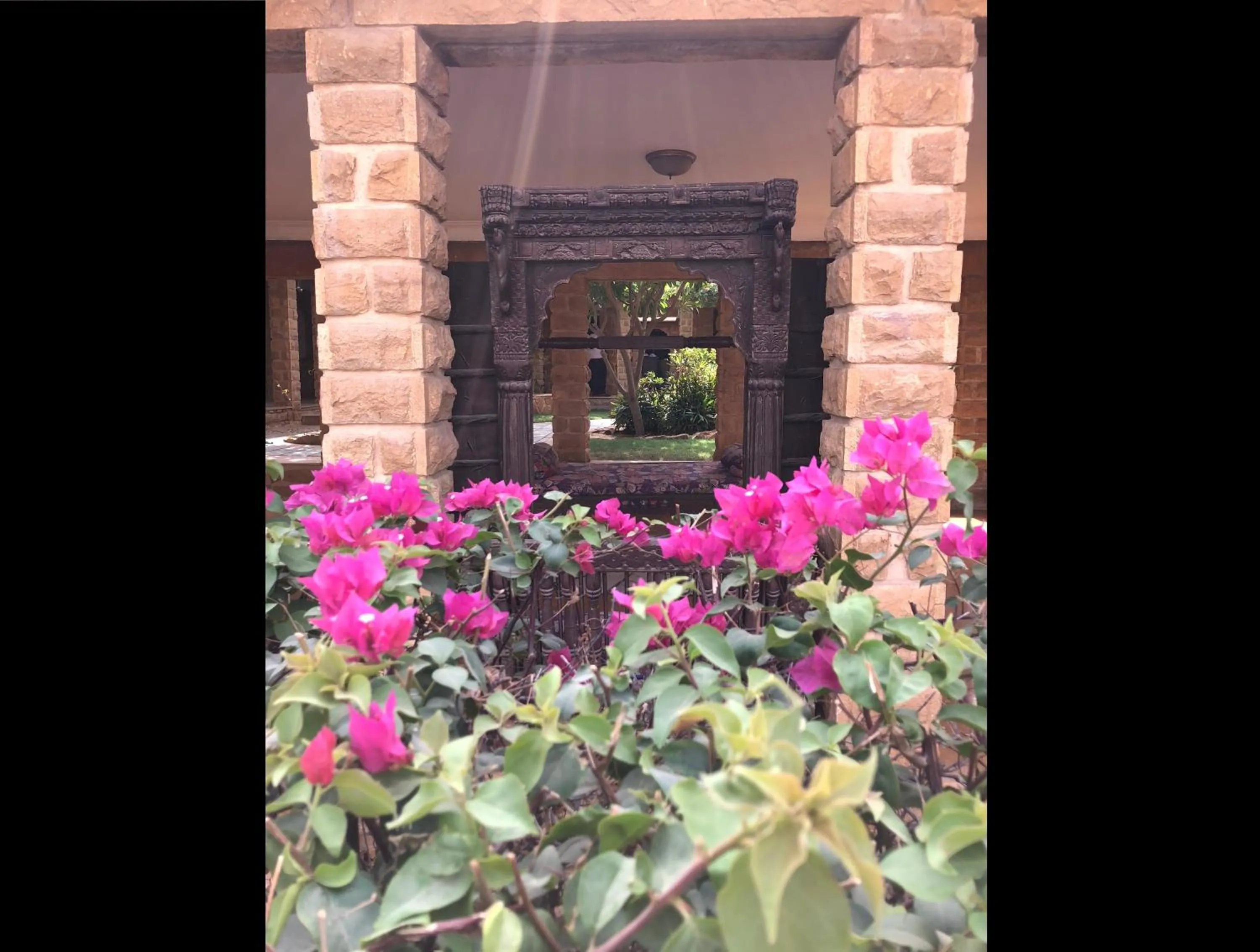 Garden in Hotel Rawalkot Jaisalmer