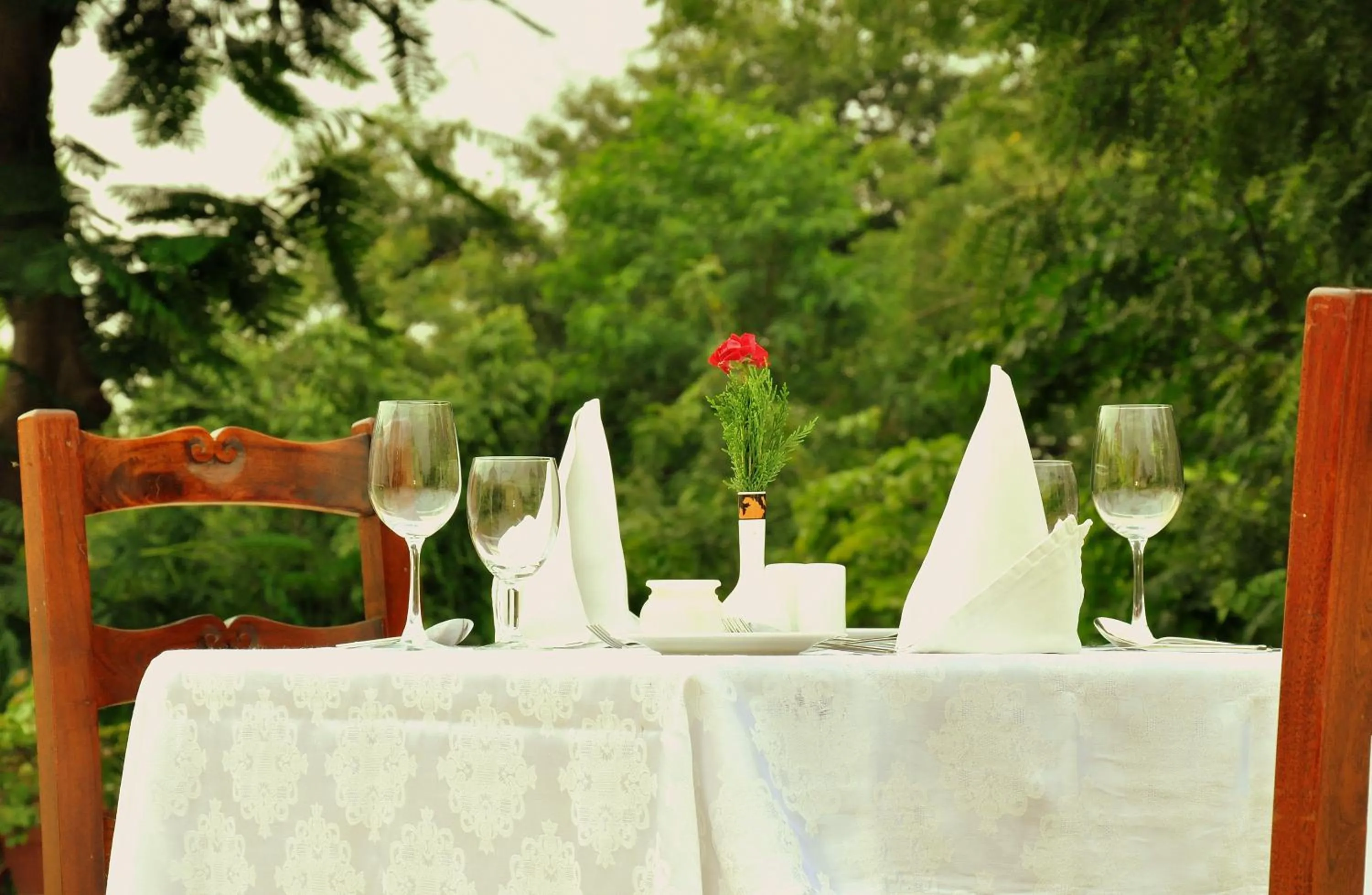 Food and drinks in The Maharaja's Lodge, Ranthambore